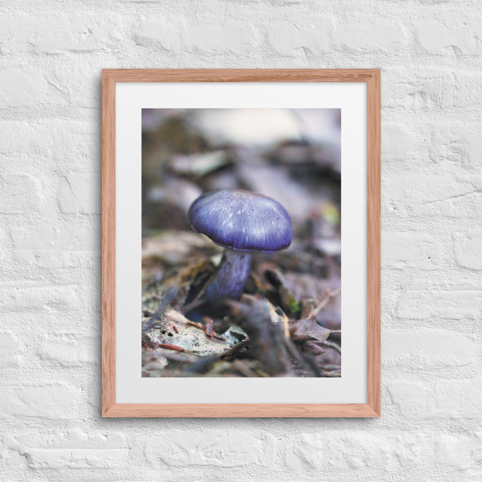 matte-paper-framed-poster-with-mat-(in)-red-oak-16x20-front-67f973639f51d.jpg