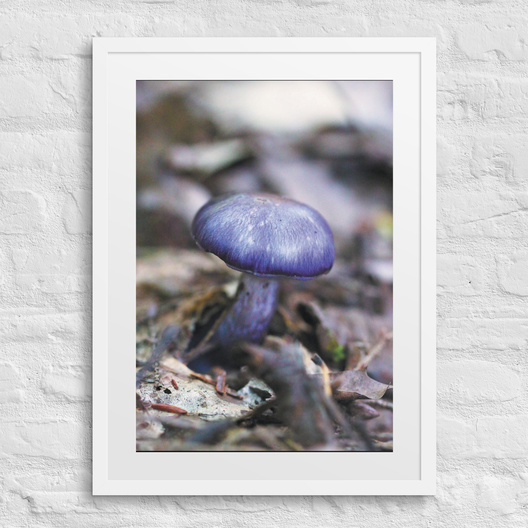 matte-paper-framed-poster-with-mat-(in)-white-18x24-front-67f973639f7cc.jpg