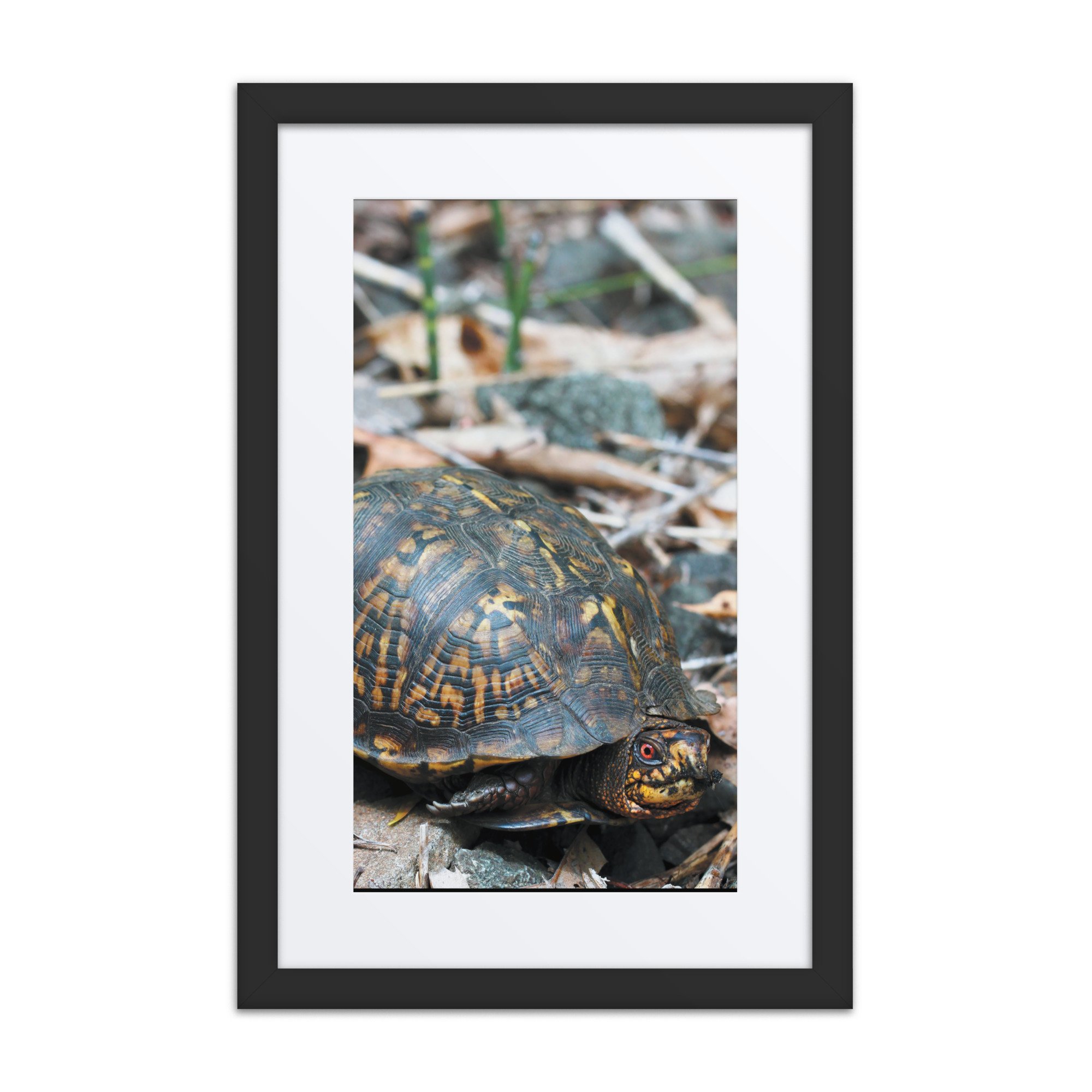matte-paper-framed-poster-with-mat-(in)-black-12x18-front-67f98678890b2.jpg