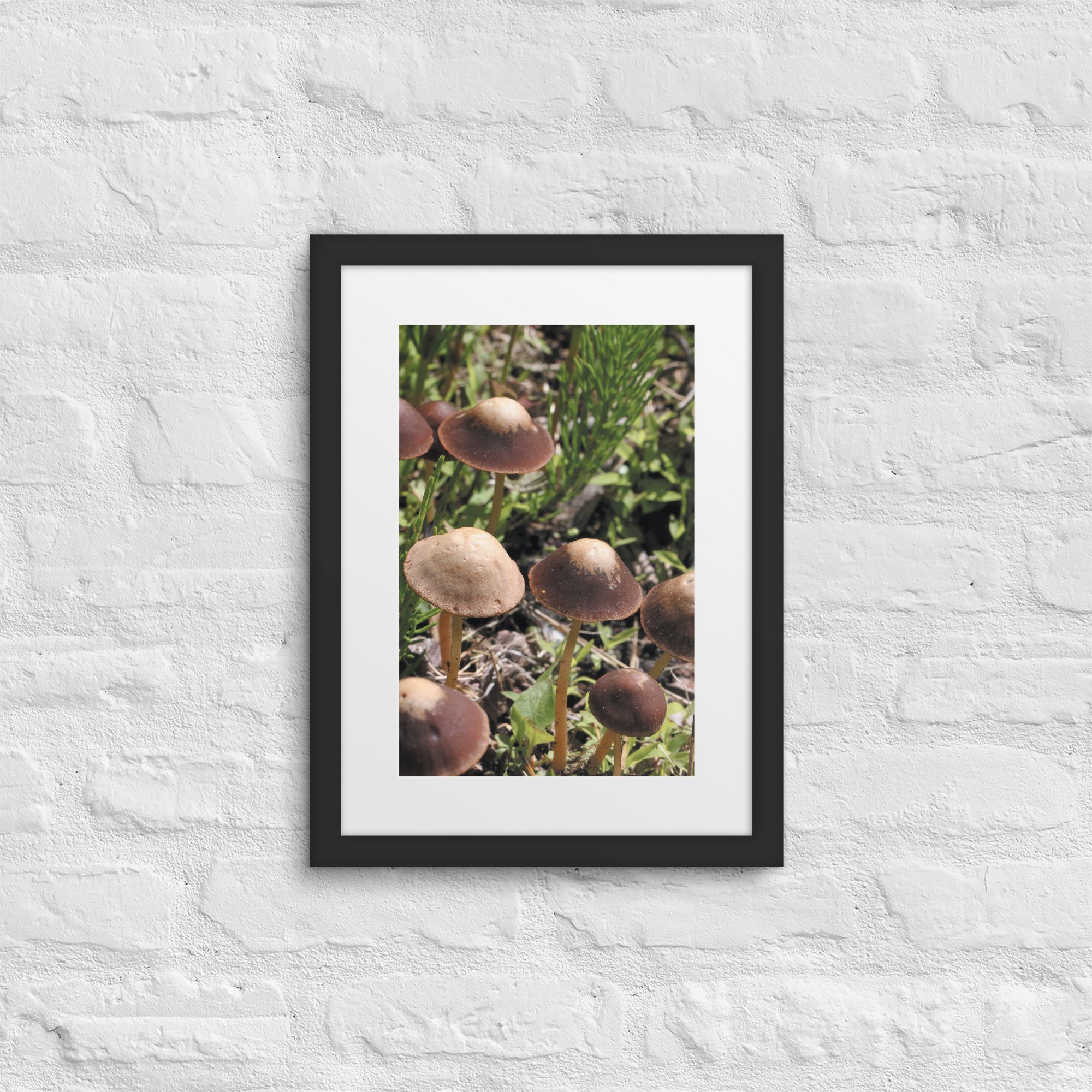 matte-paper-framed-poster-with-mat-(in)-black-12x16-front-67f986a0889a7.jpg