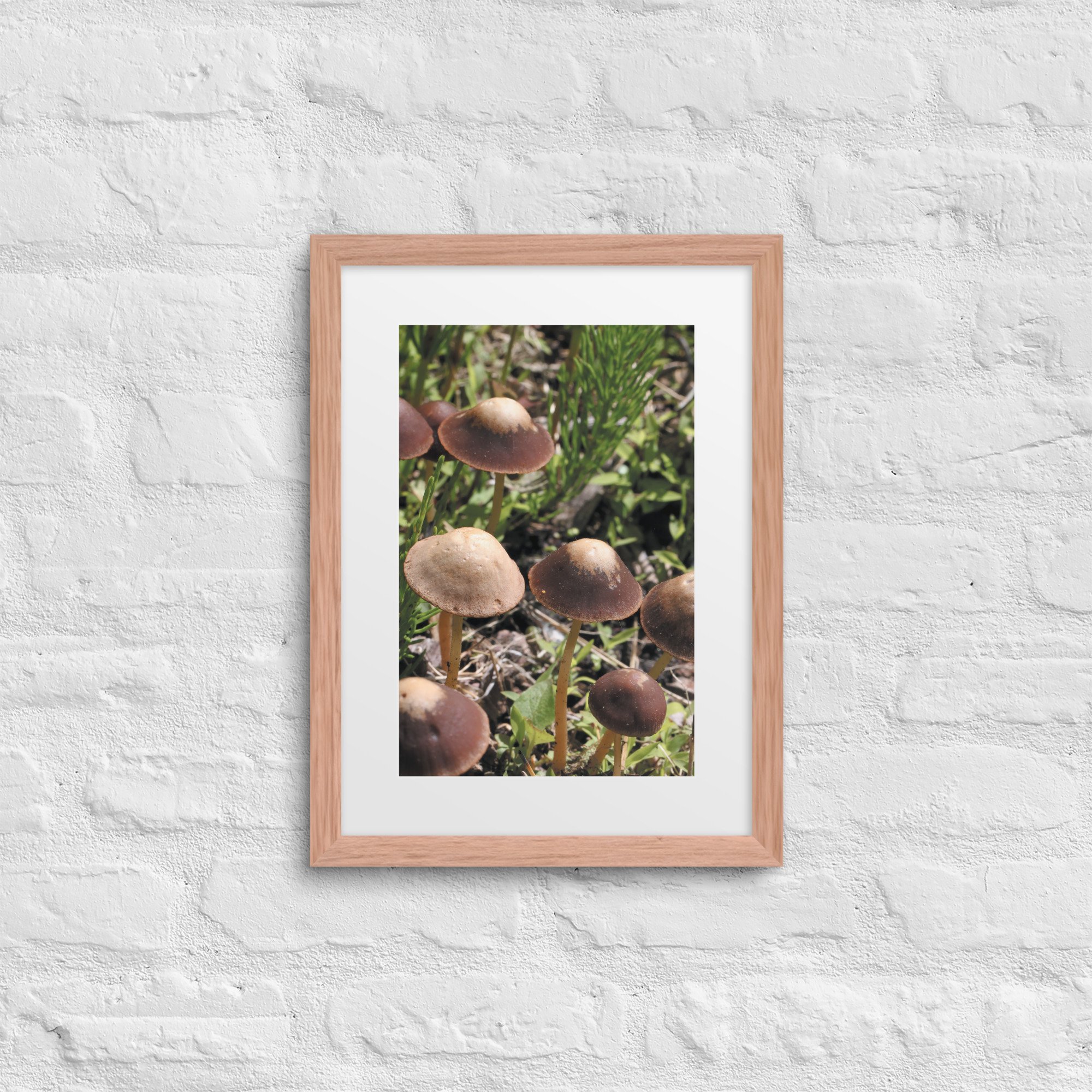 matte-paper-framed-poster-with-mat-(in)-red-oak-12x16-front-67f986a088aaa.jpg