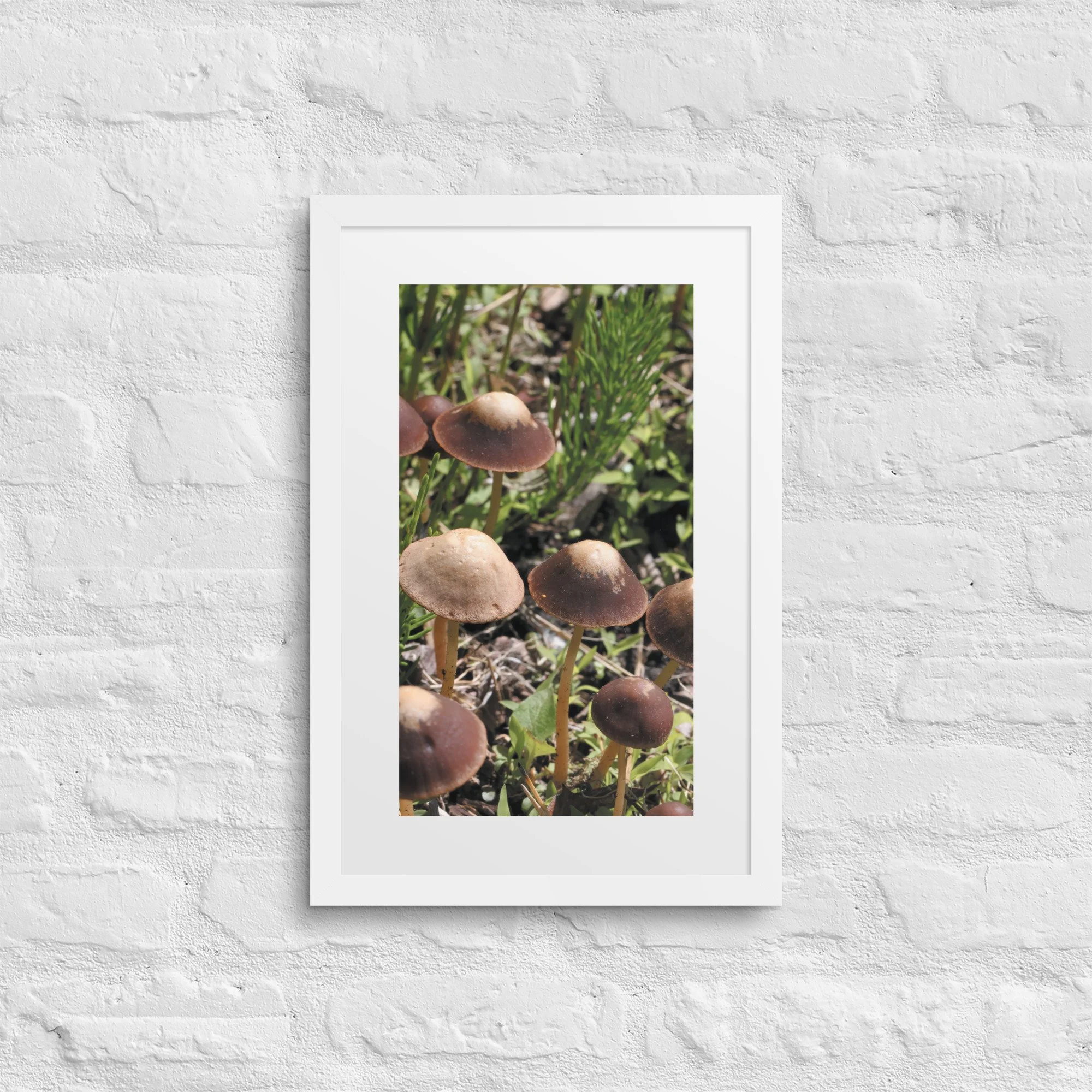 matte-paper-framed-poster-with-mat-(in)-white-12x18-front-67f986a088c19.jpg