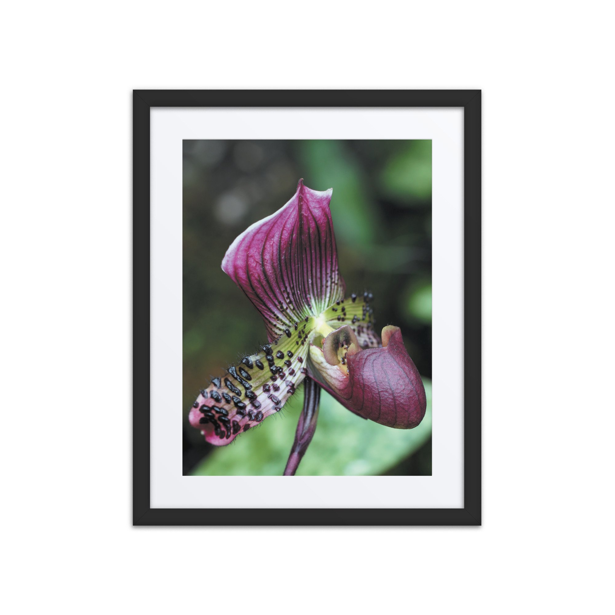 matte-paper-framed-poster-with-mat-(in)-black-16x20-front-67f9a1c7029df.jpg