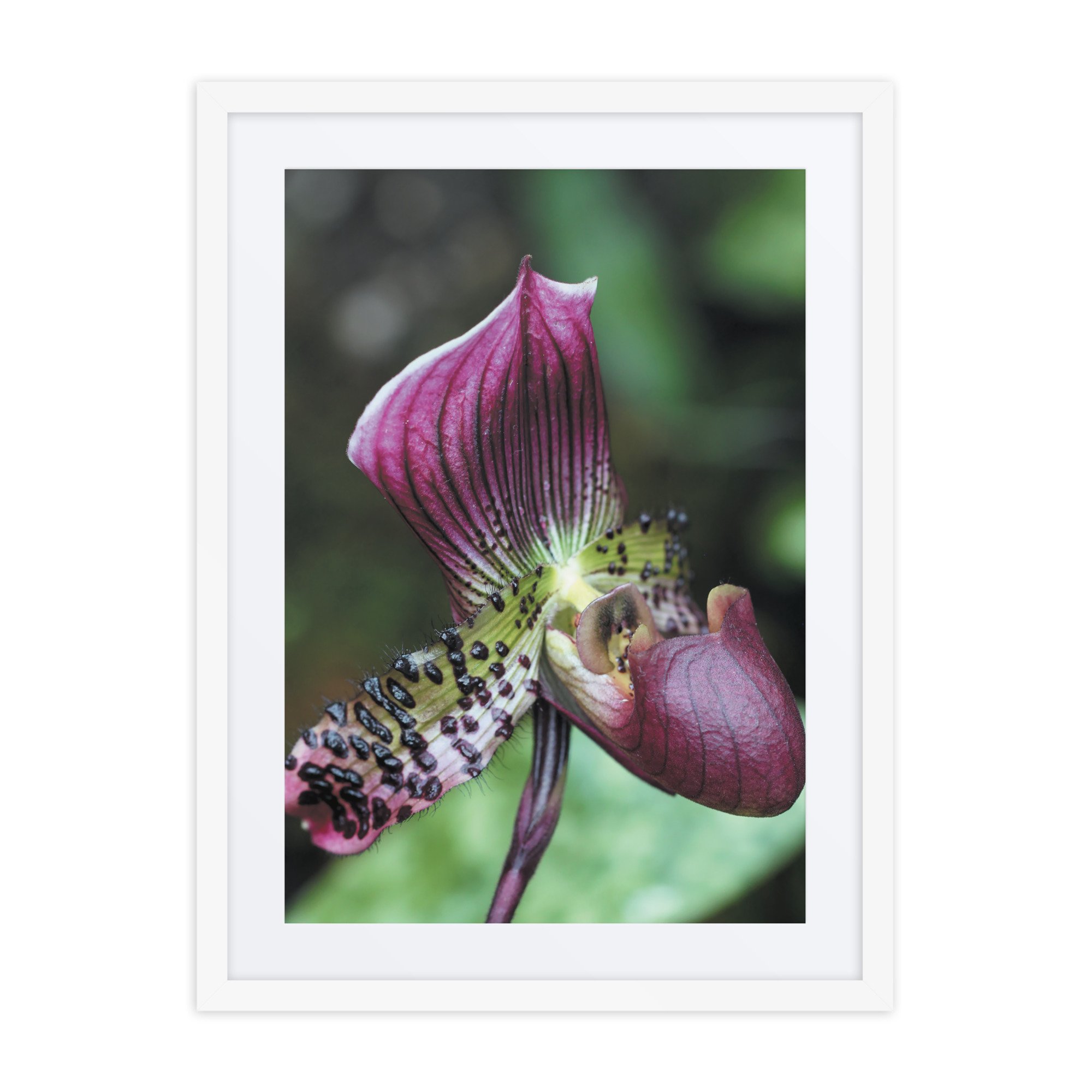matte-paper-framed-poster-with-mat-(in)-white-18x24-front-67f9a1c702b5e.jpg