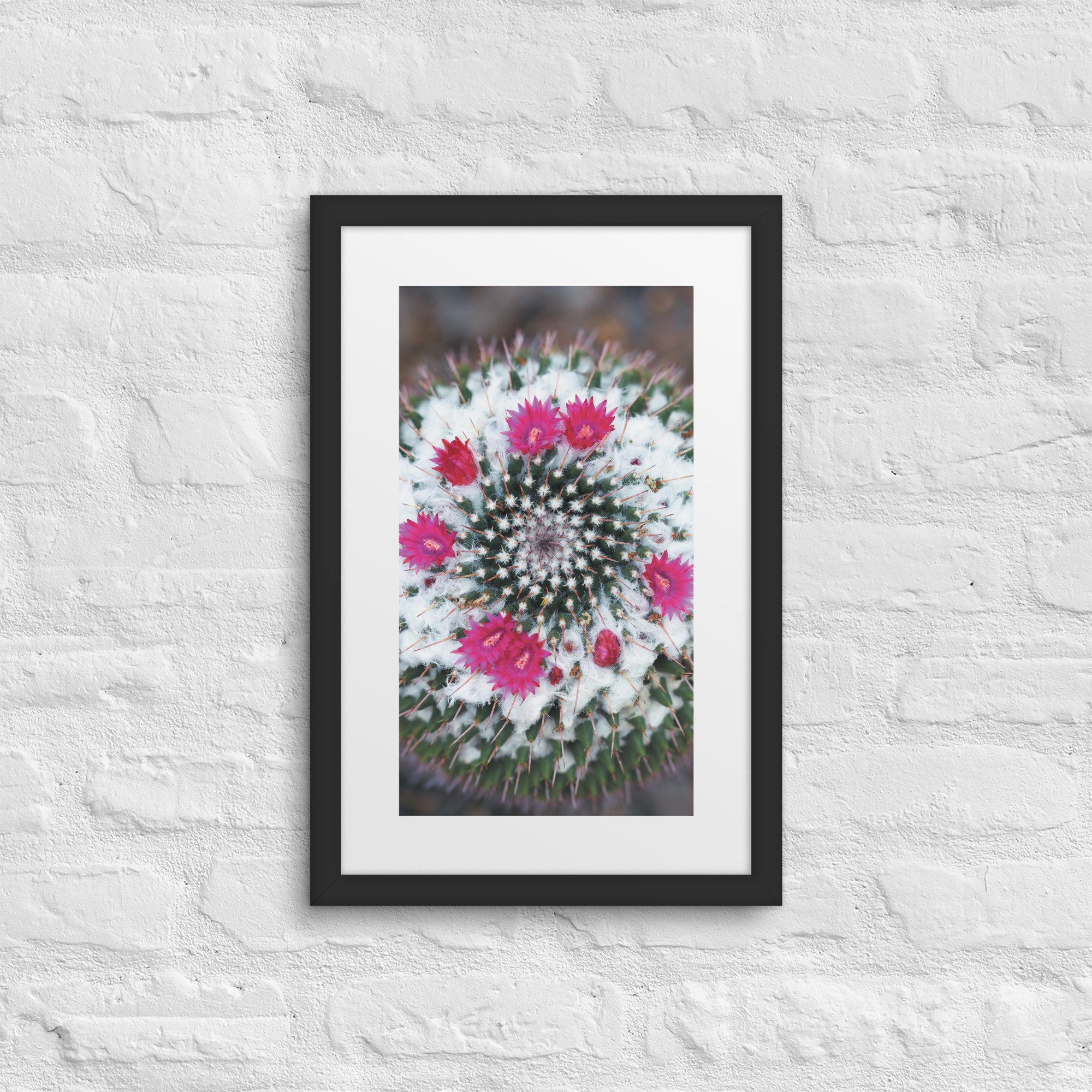 matte-paper-framed-poster-with-mat-(in)-black-12x18-front-67f9a201c1e6b.jpg