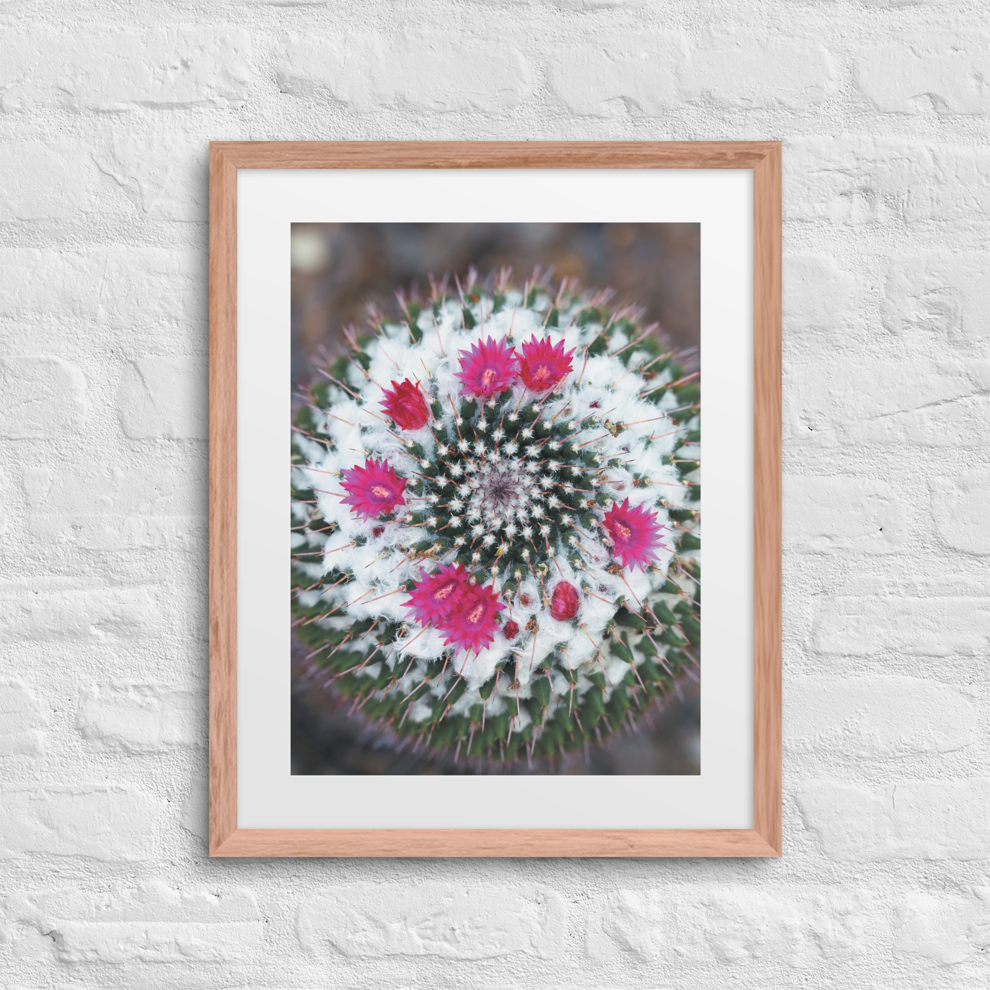 matte-paper-framed-poster-with-mat-(in)-red-oak-16x20-front-67f9a201c1fe5.jpg
