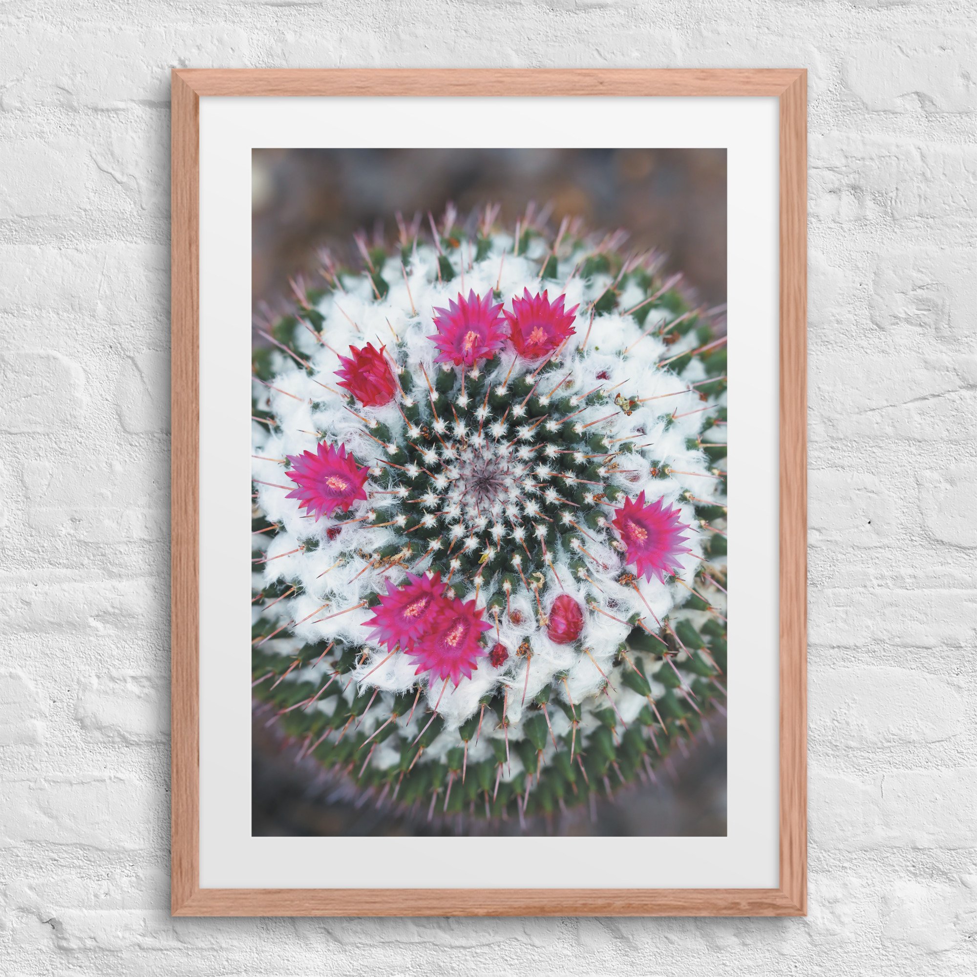 matte-paper-framed-poster-with-mat-(in)-red-oak-18x24-front-67f9a201c204a.jpg