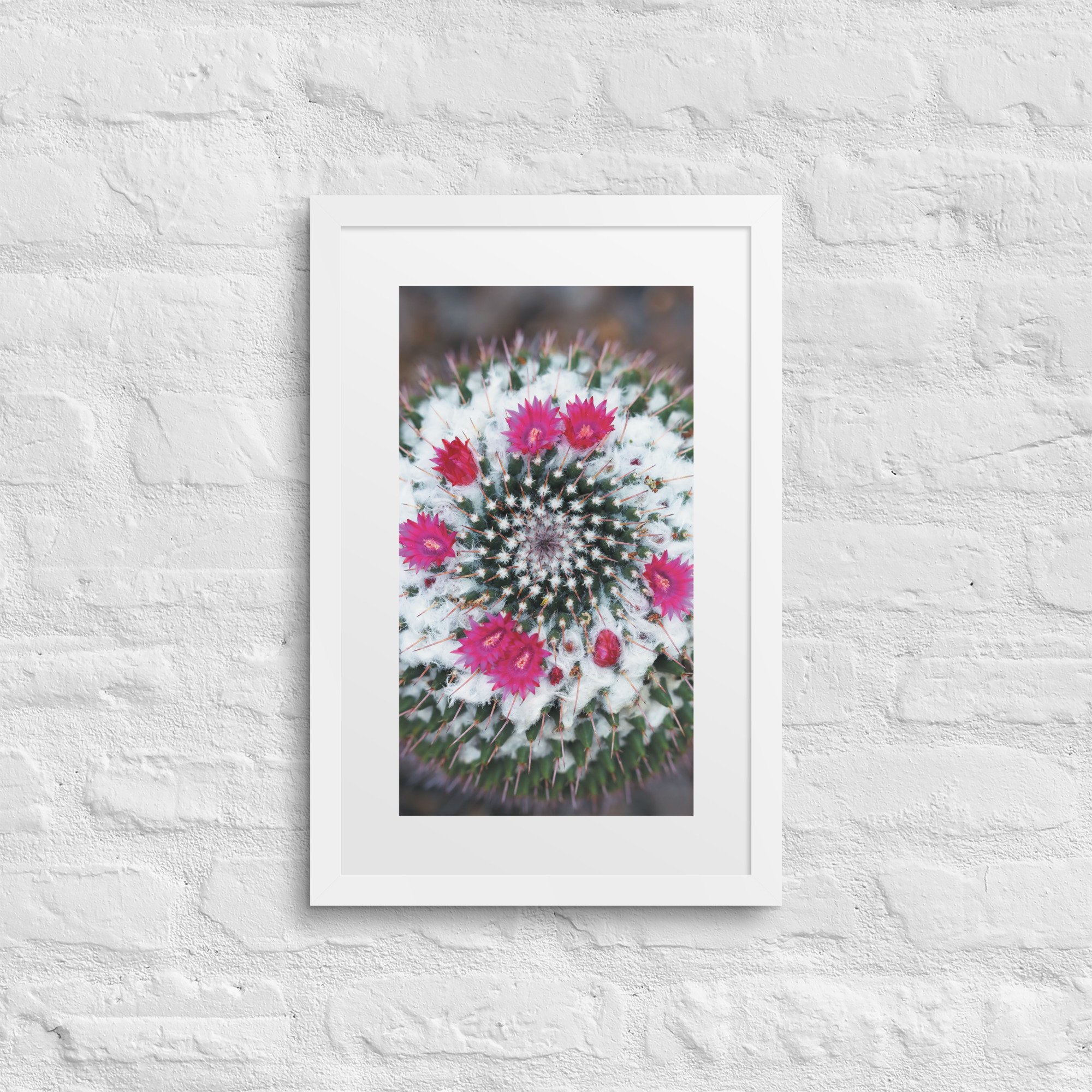 matte-paper-framed-poster-with-mat-(in)-white-12x18-front-67f9a201c20a8.jpg