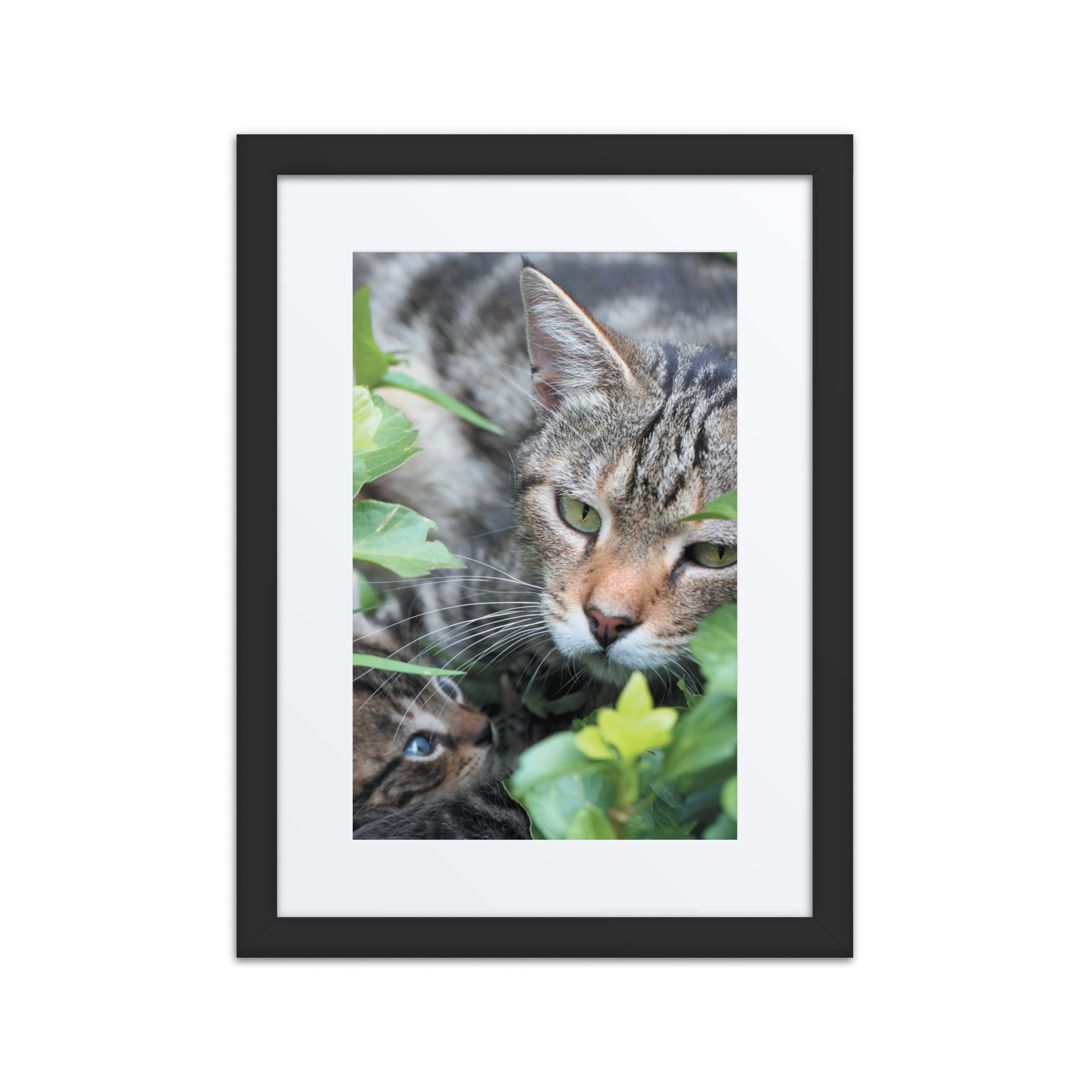 matte-paper-framed-poster-with-mat-(in)-black-12x16-front-67f9a26b9ca7c.jpg