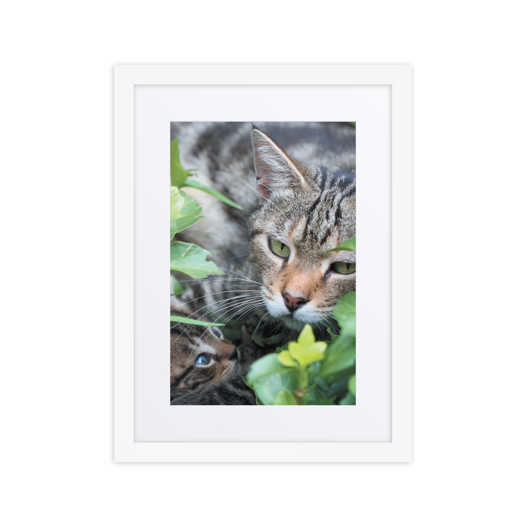 matte-paper-framed-poster-with-mat-(in)-white-12x16-front-67f9a26b9cb91.jpg