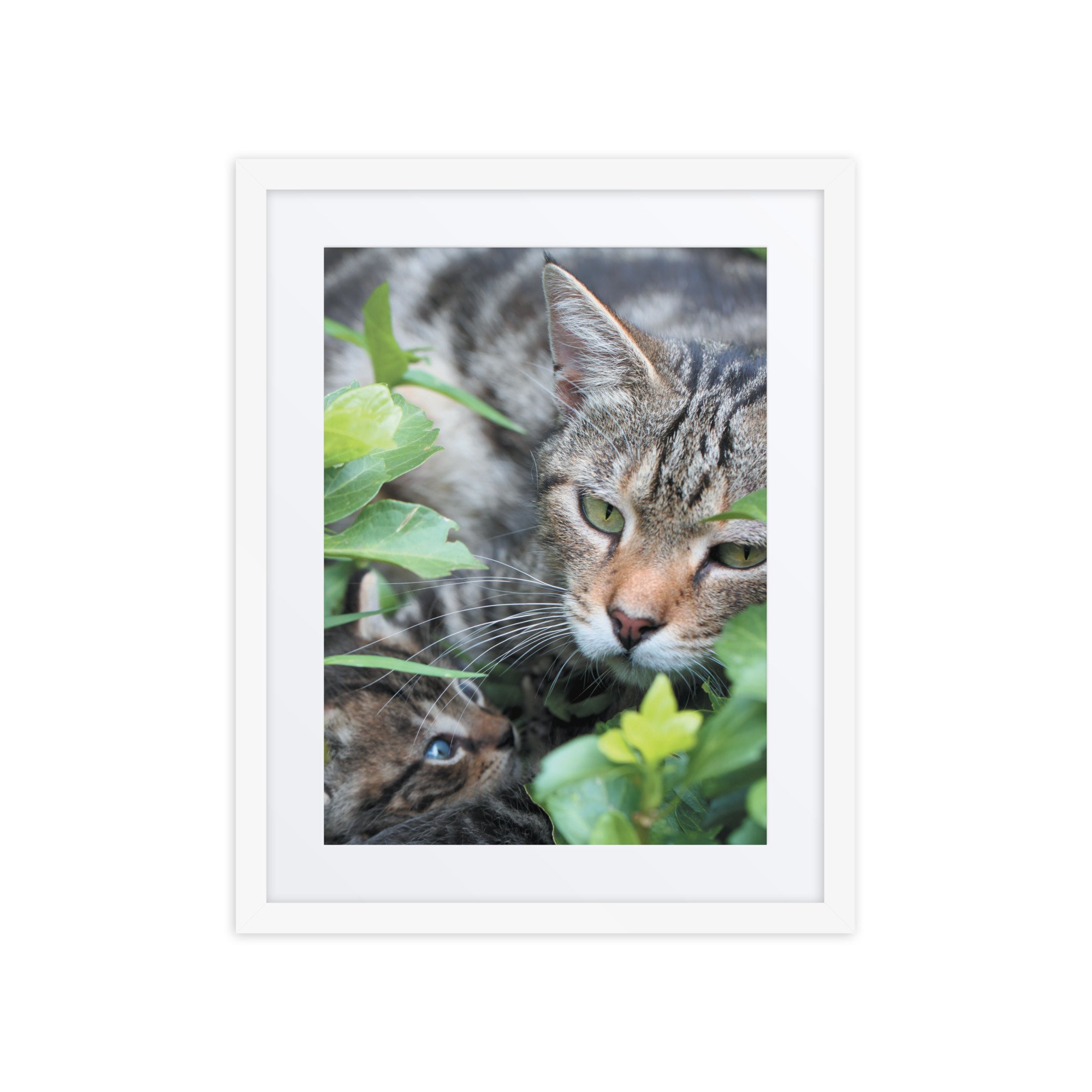 matte-paper-framed-poster-with-mat-(in)-white-16x20-front-67f9a26b9cbde.jpg