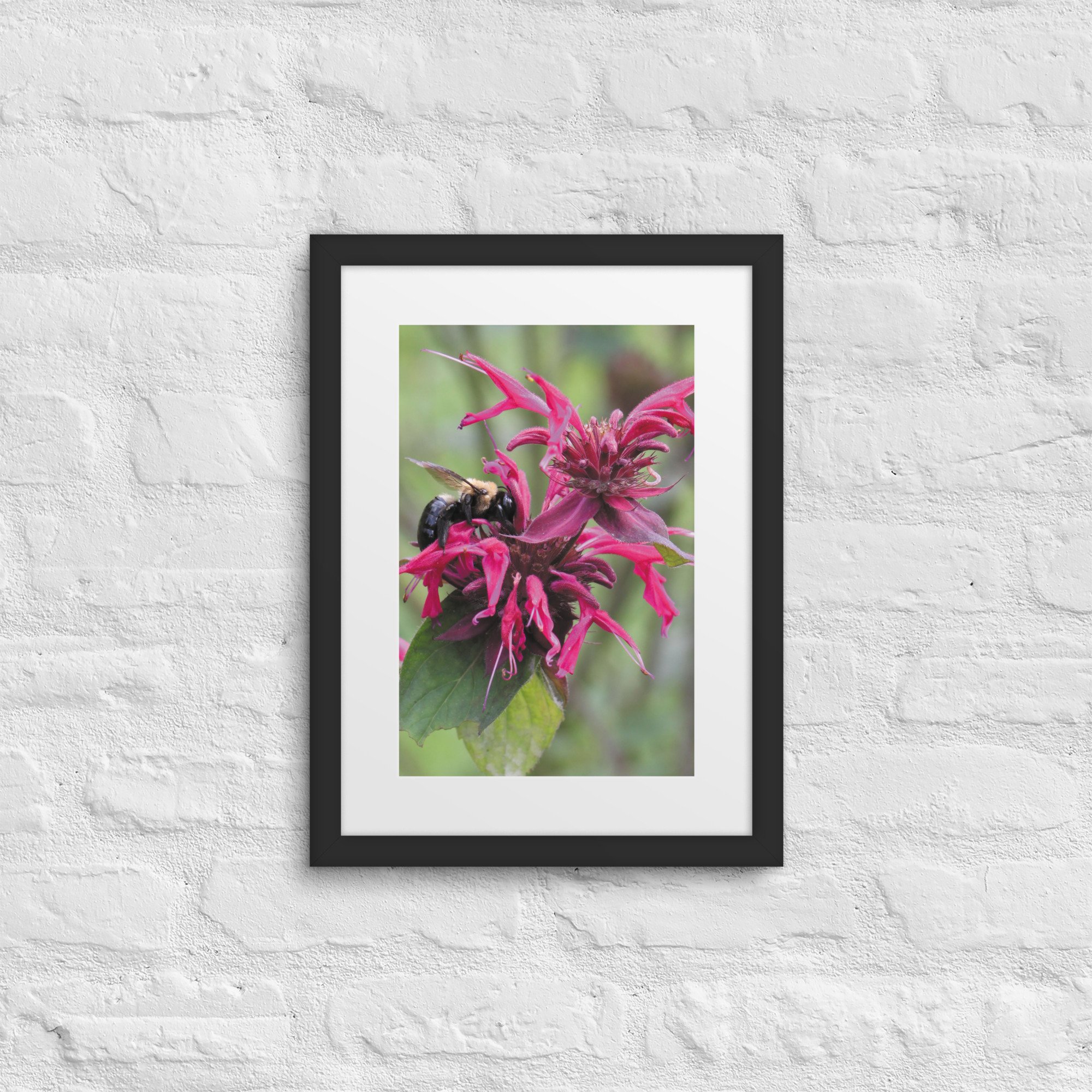 matte-paper-framed-poster-with-mat-(in)-black-12x16-front-67f9a58a09a87.jpg