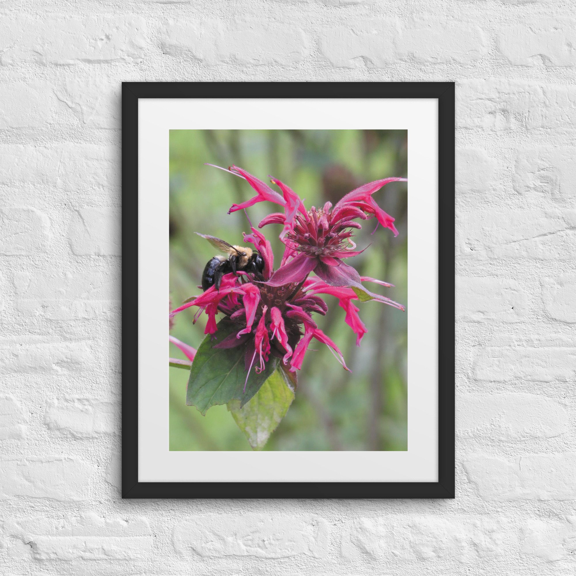 matte-paper-framed-poster-with-mat-(in)-black-16x20-front-67f9a58a09b94.jpg
