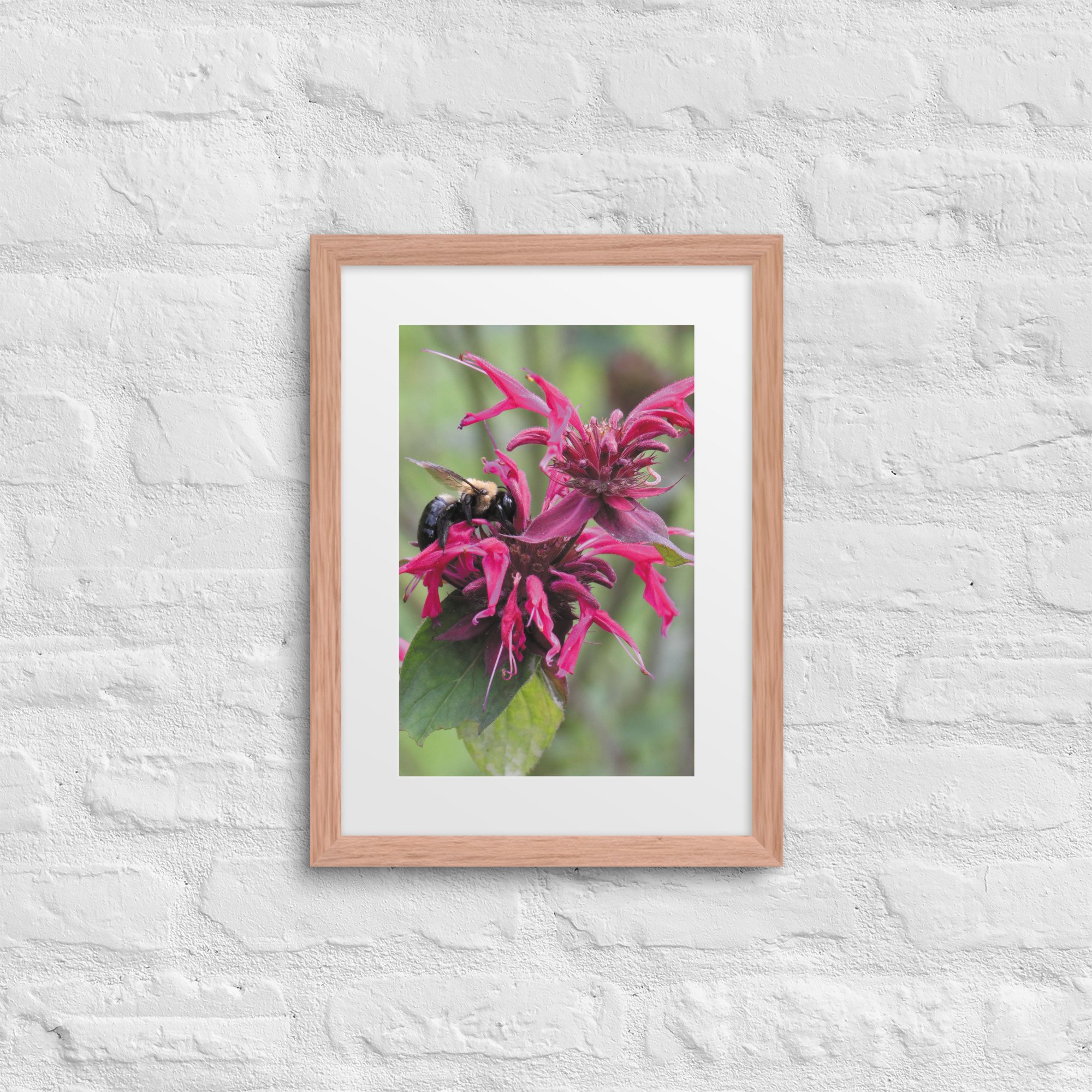 matte-paper-framed-poster-with-mat-(in)-red-oak-12x16-front-67f9a58a09bf7.jpg