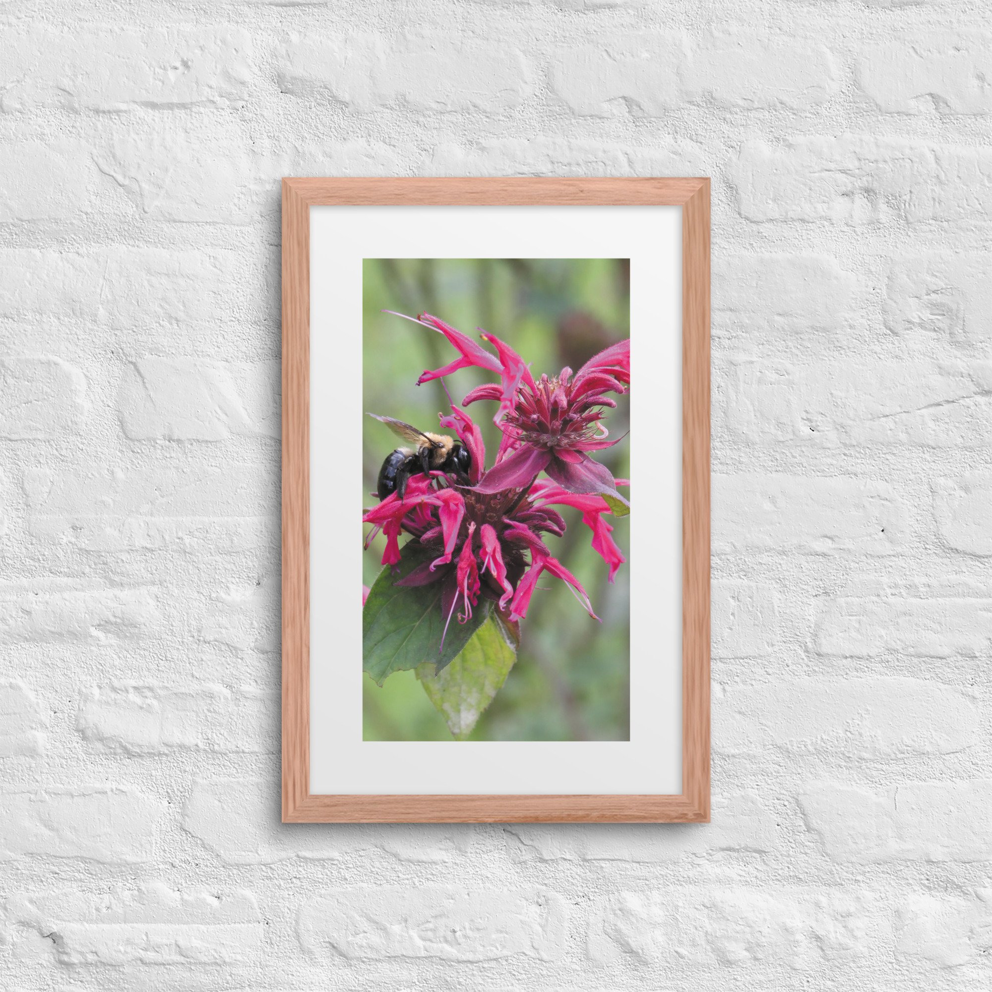 matte-paper-framed-poster-with-mat-(in)-red-oak-12x18-front-67f9a58a09c63.jpg