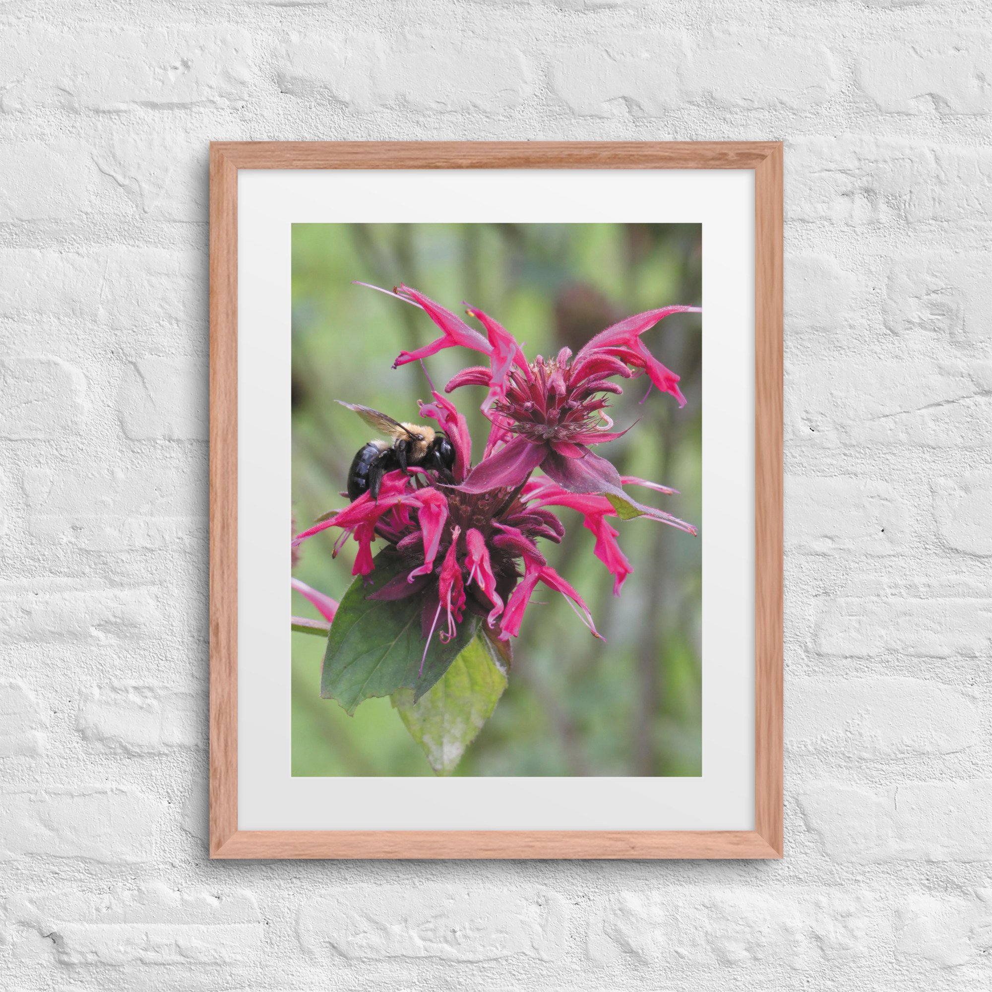 matte-paper-framed-poster-with-mat-(in)-red-oak-16x20-front-67f9a58a09cc7.jpg