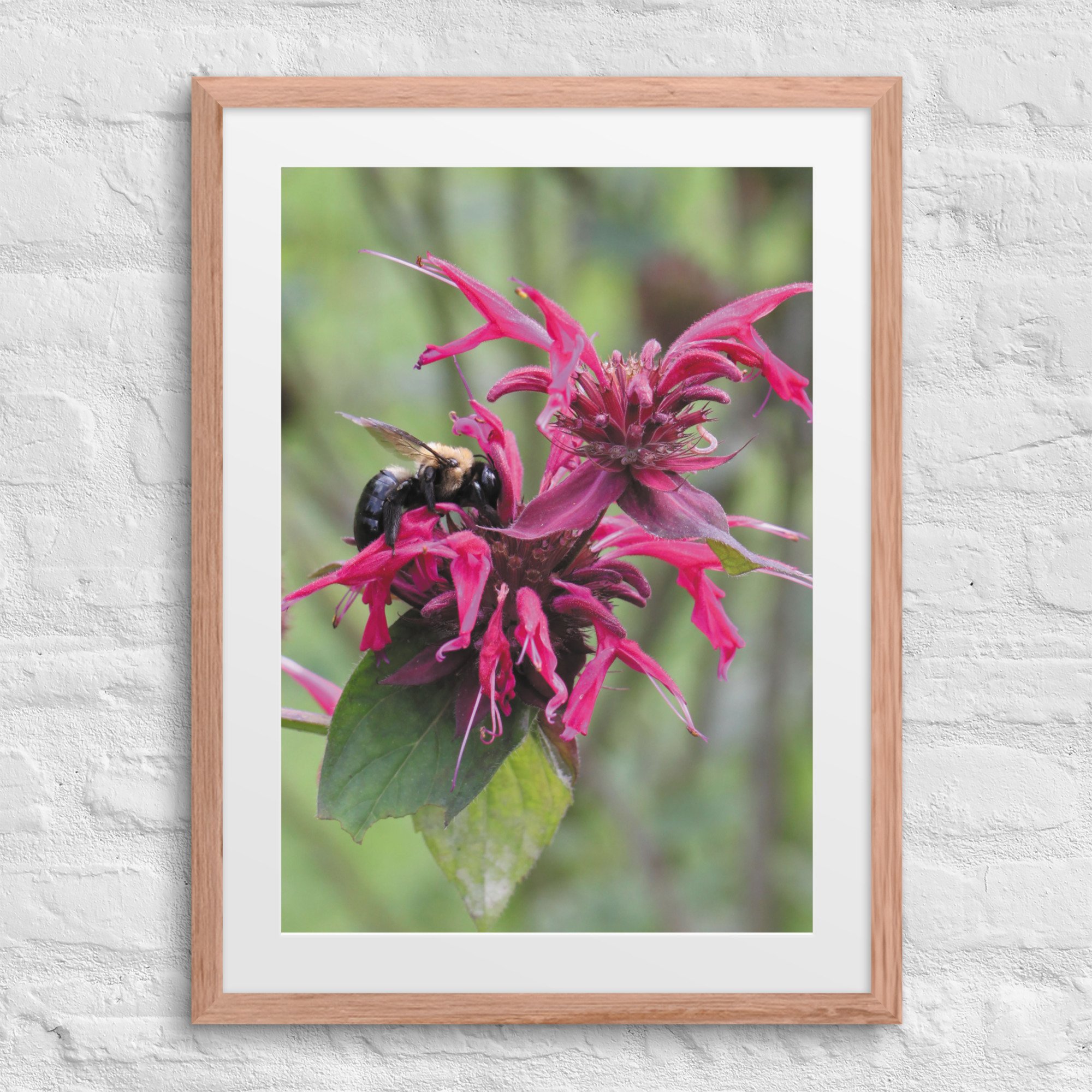 matte-paper-framed-poster-with-mat-(in)-red-oak-18x24-front-67f9a58a09d3e.jpg