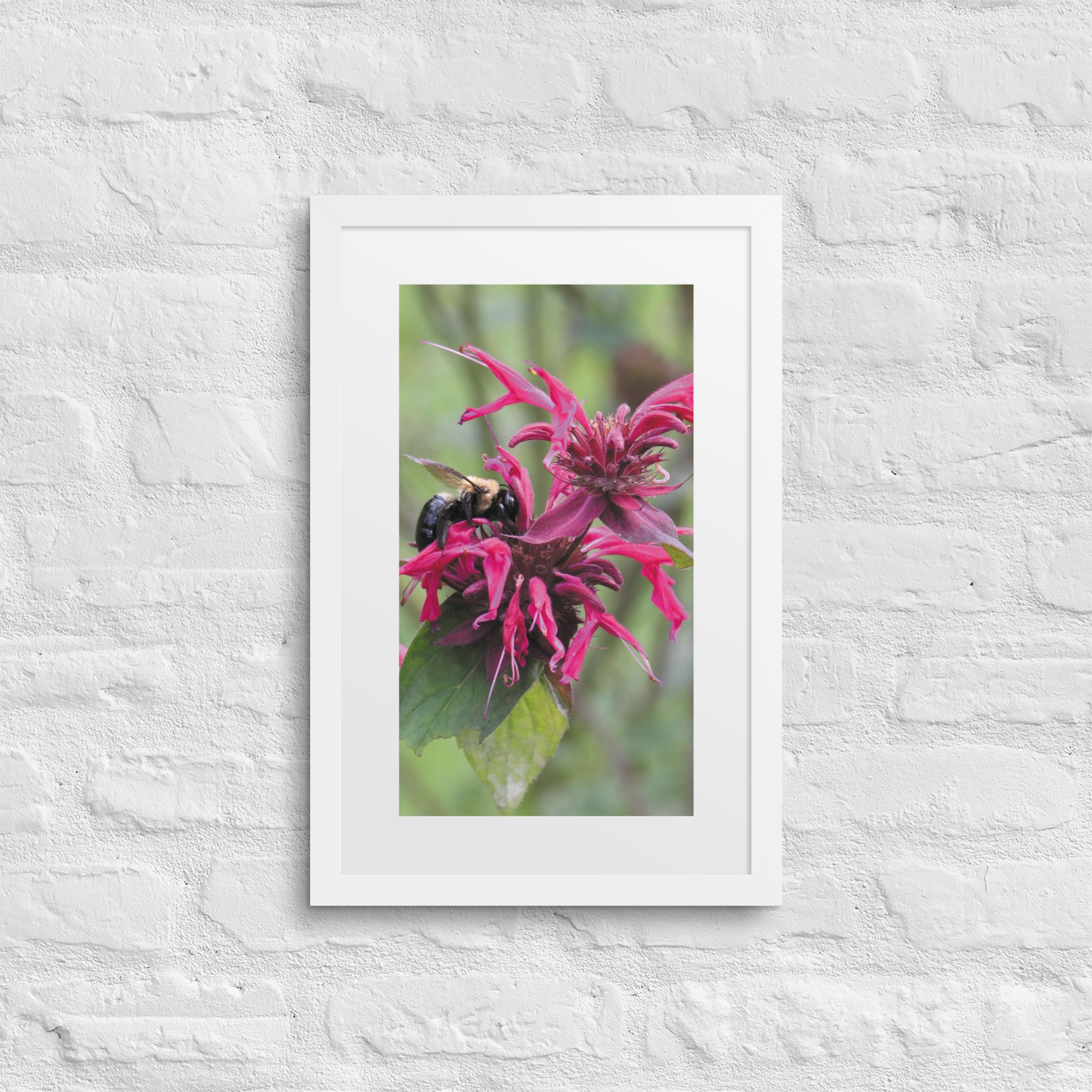 matte-paper-framed-poster-with-mat-(in)-white-12x18-front-67f9a58a09e1e.jpg