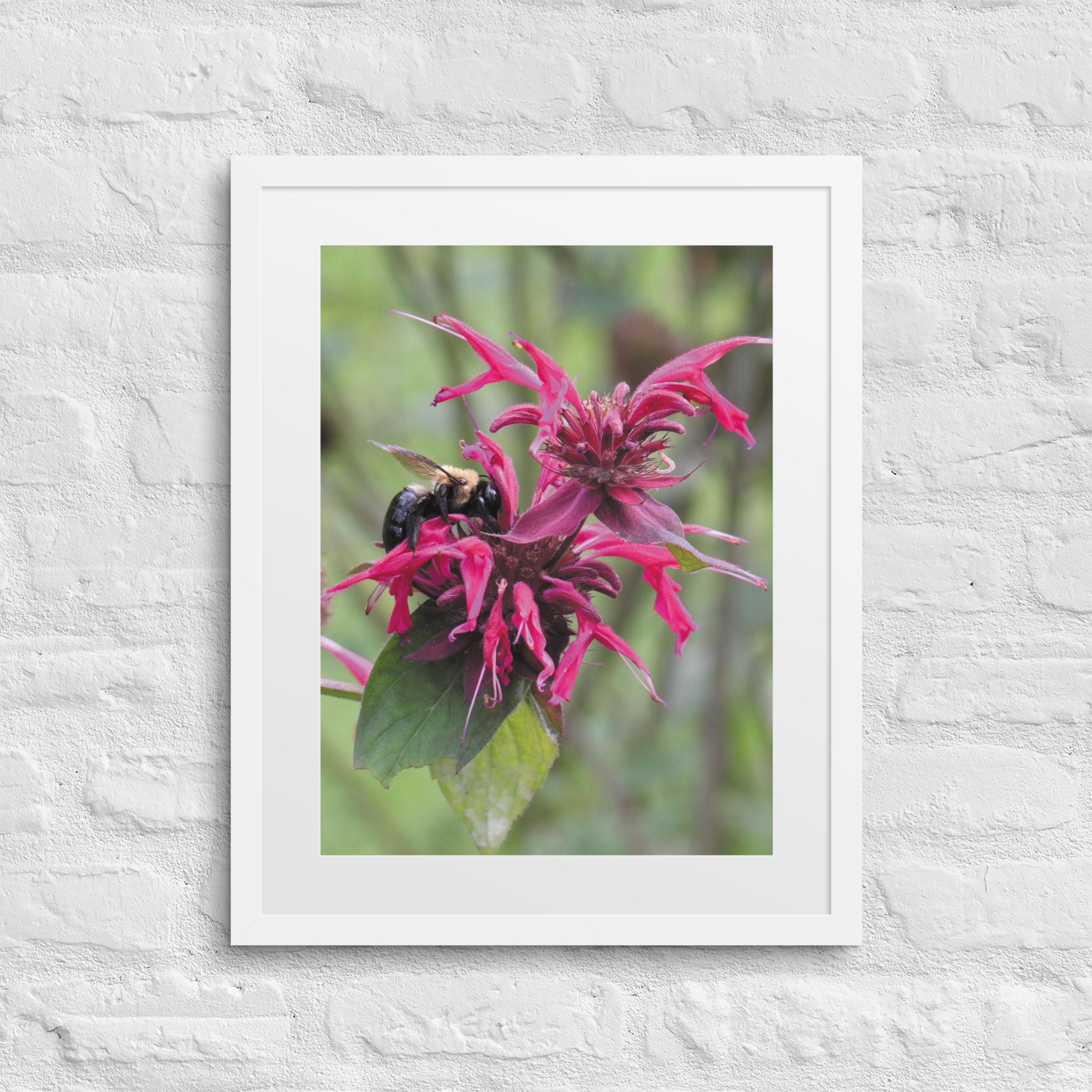 matte-paper-framed-poster-with-mat-(in)-white-16x20-front-67f9a58a09e6c.jpg