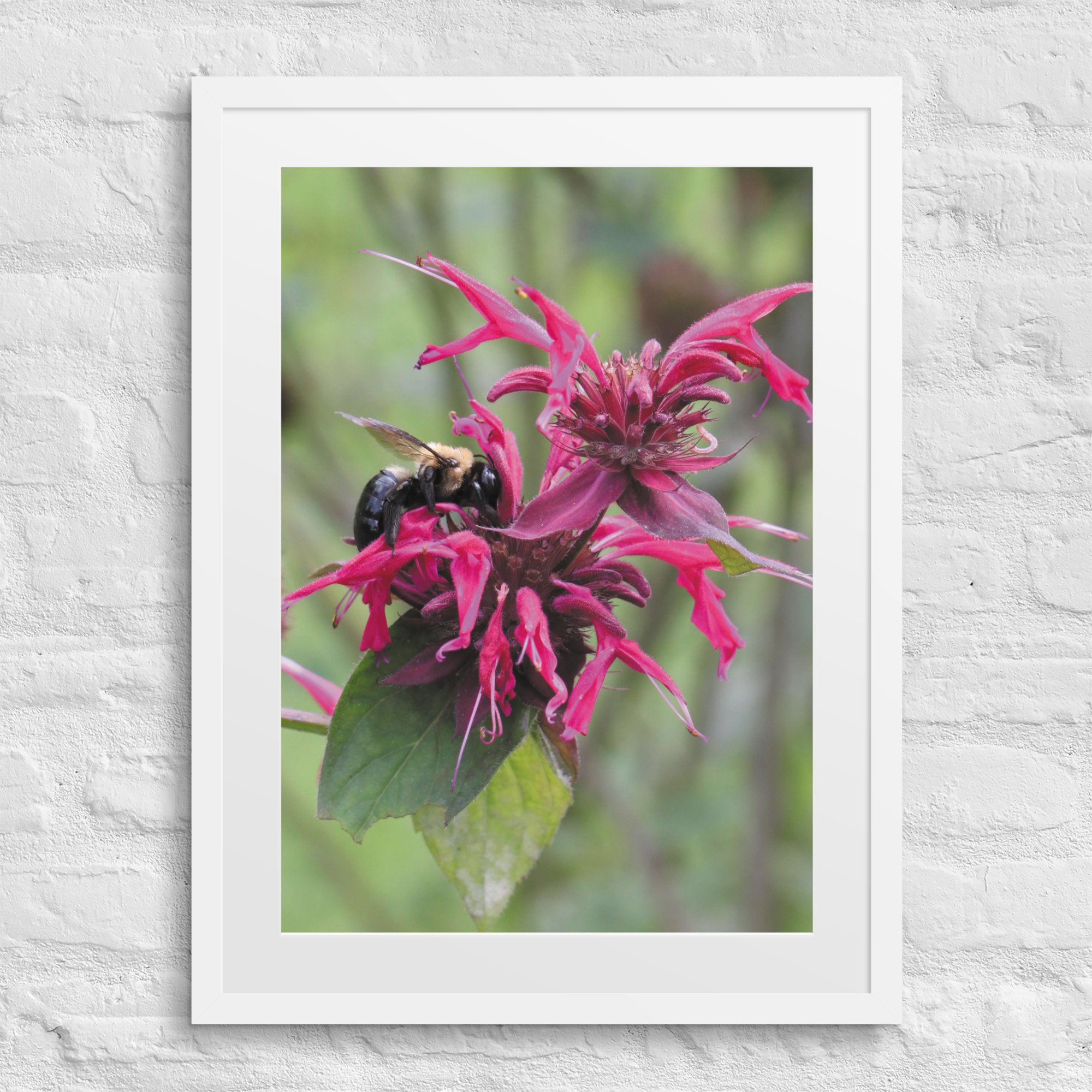 matte-paper-framed-poster-with-mat-(in)-white-18x24-front-67f9a58a09ebb.jpg
