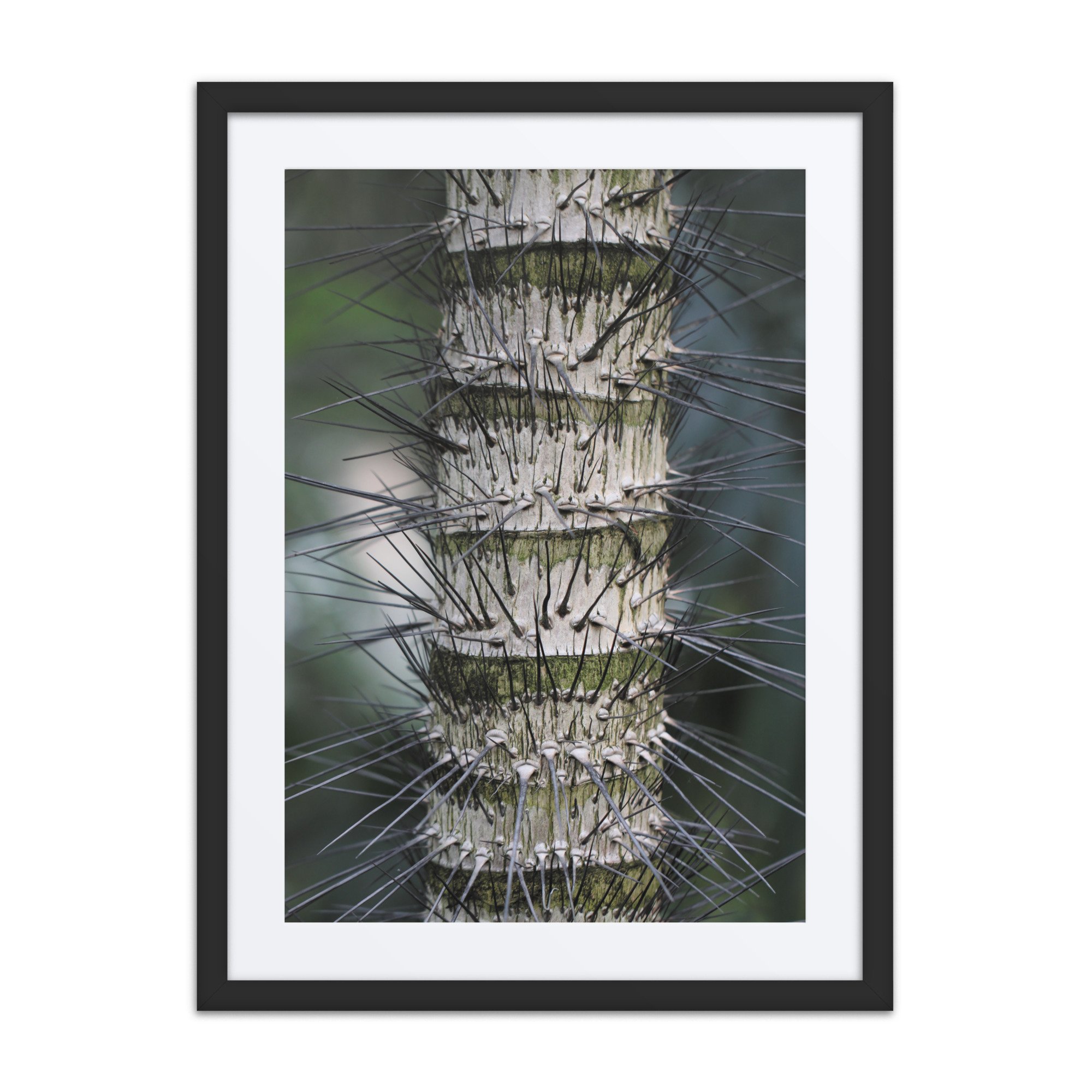 matte-paper-framed-poster-with-mat-(in)-black-18x24-front-67f9a5b17f6d6.jpg