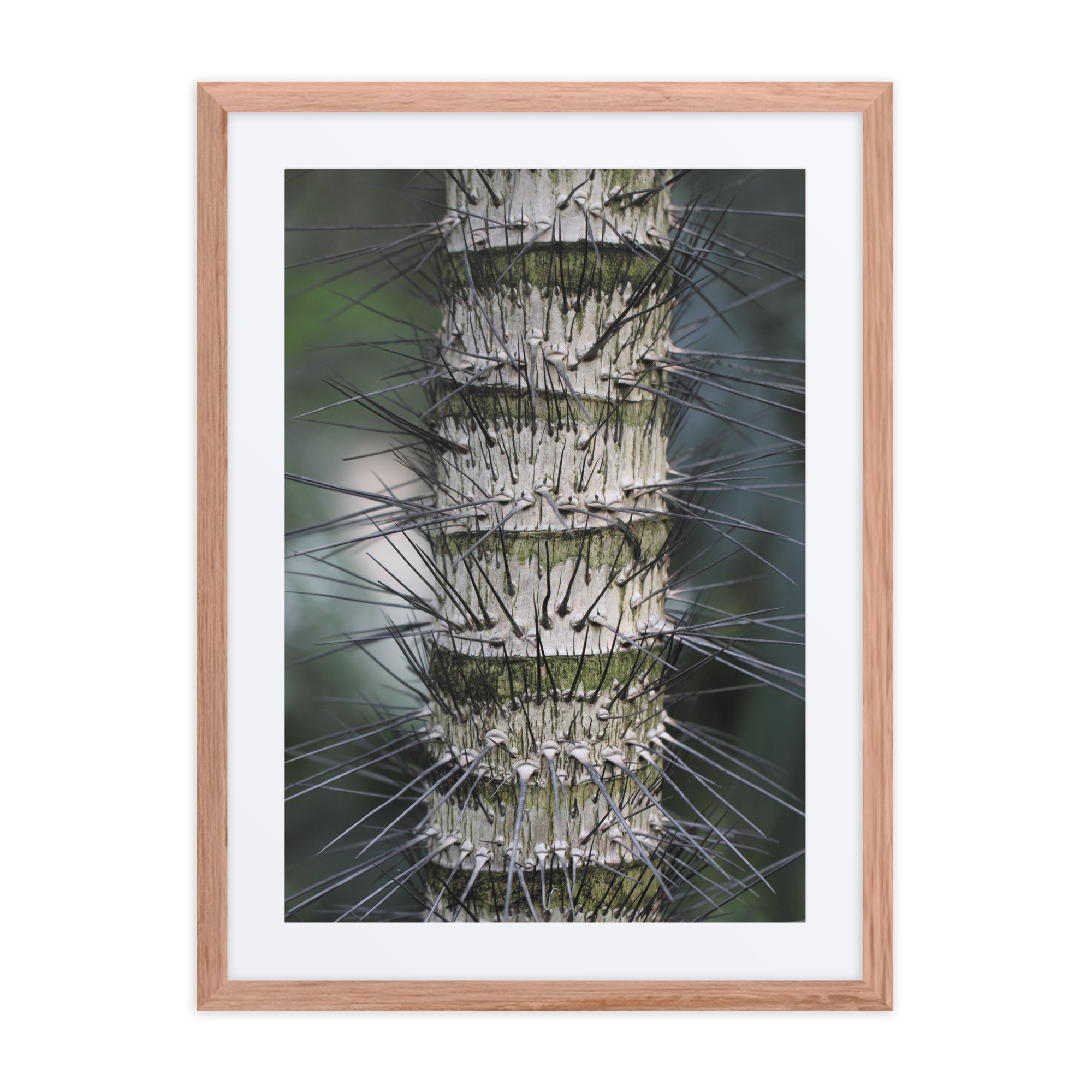 matte-paper-framed-poster-with-mat-(in)-red-oak-18x24-front-67f9a5b18020b.jpg