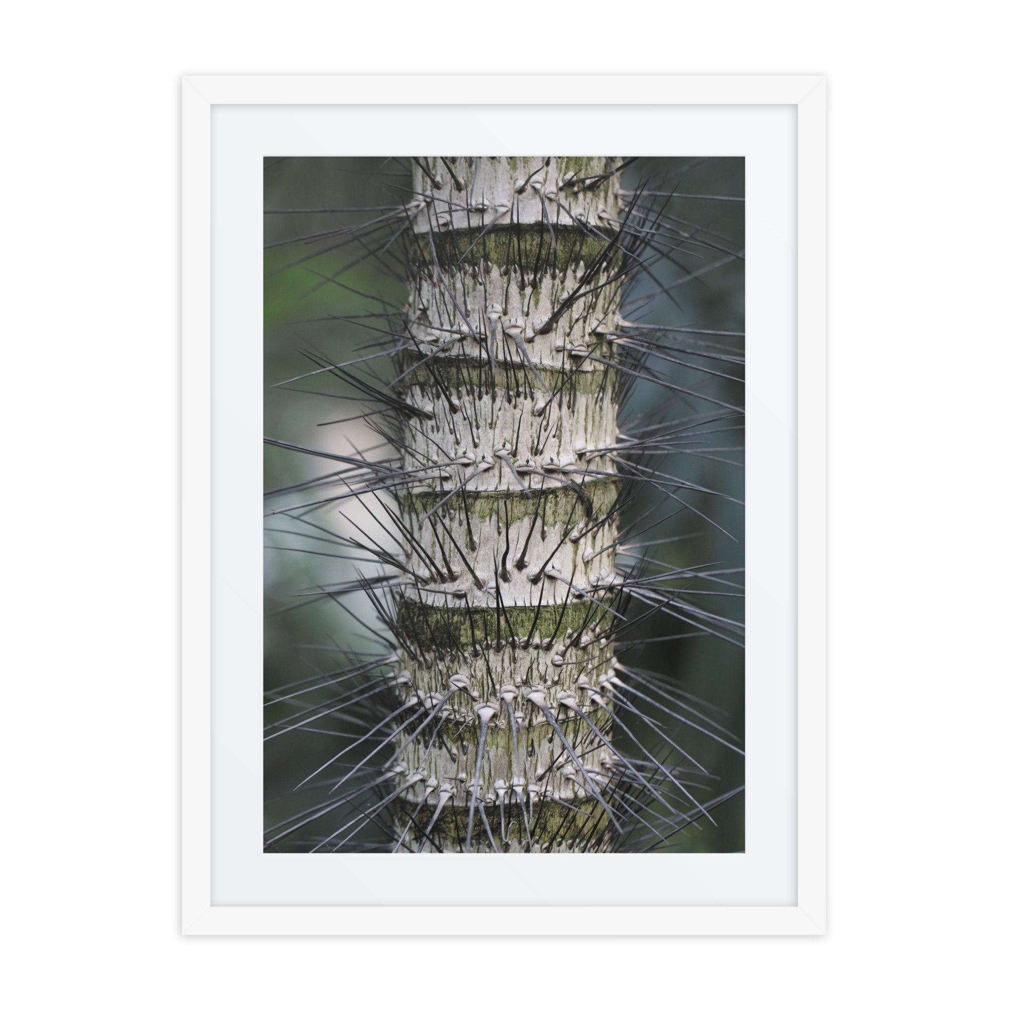 matte-paper-framed-poster-with-mat-(in)-white-18x24-front-67f9a5b18032f.jpg