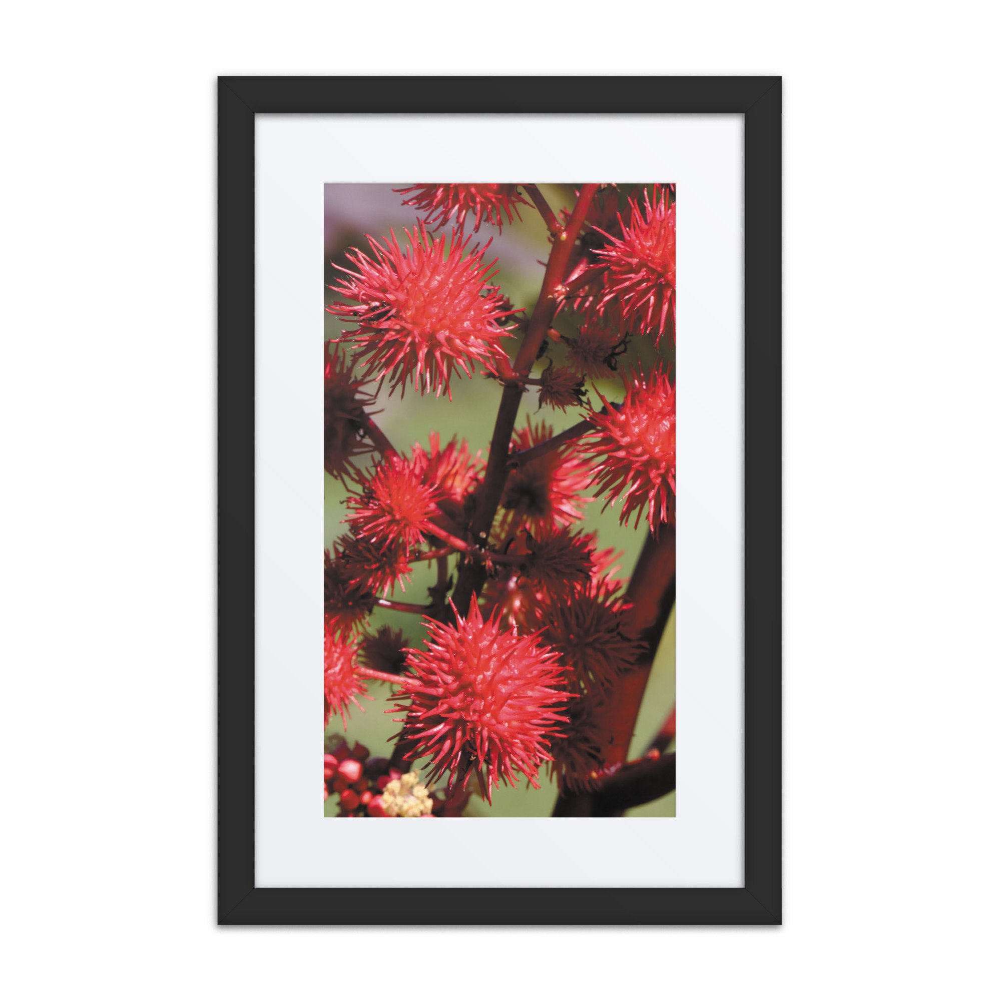 matte-paper-framed-poster-with-mat-(in)-black-12x18-front-67f9a87325a64.jpg