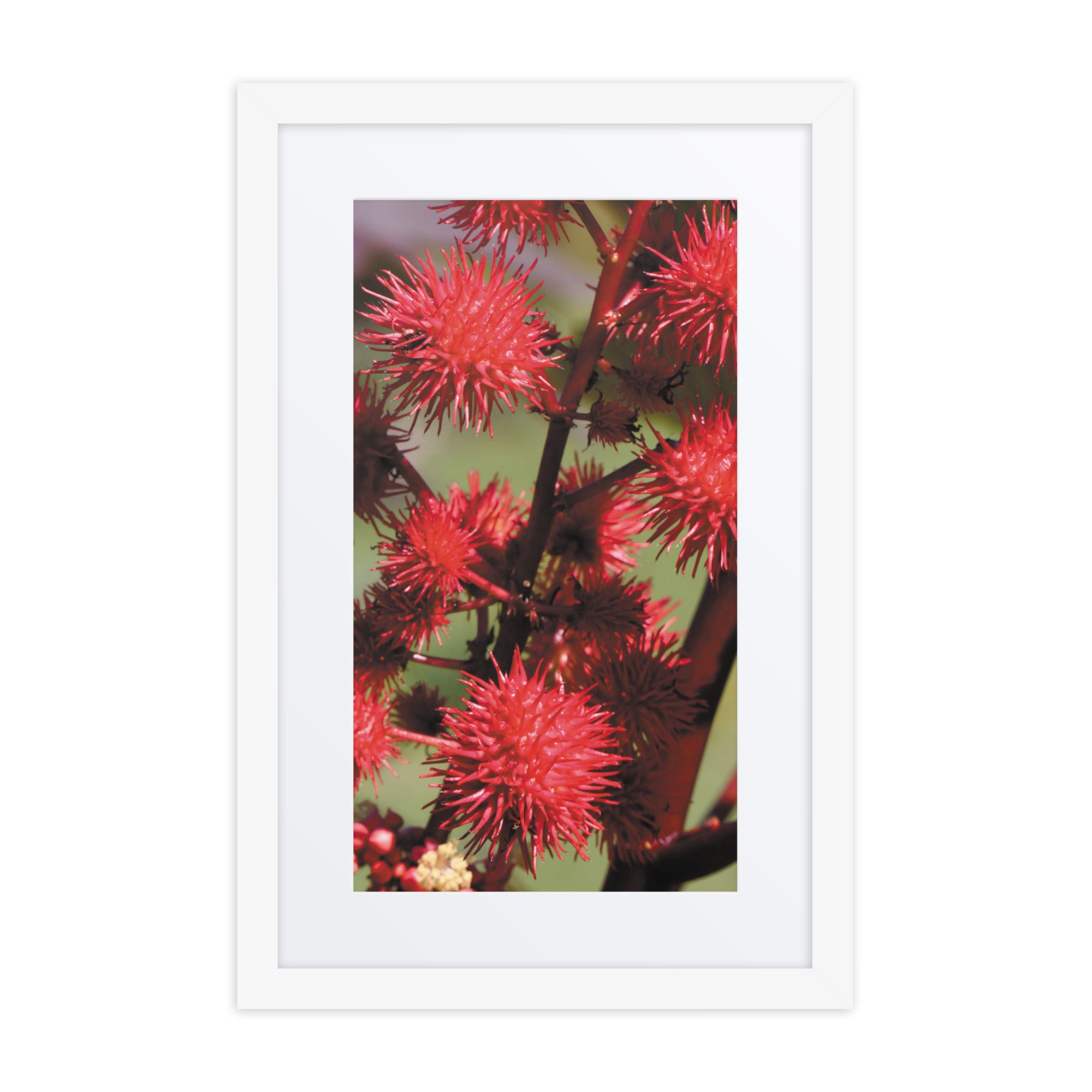 matte-paper-framed-poster-with-mat-(in)-white-12x18-front-67f9a87325dbe.jpg