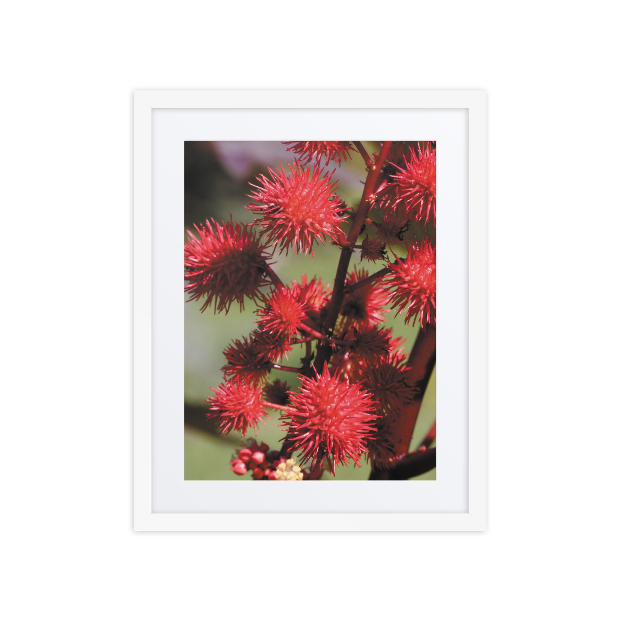 matte-paper-framed-poster-with-mat-(in)-white-16x20-front-67f9a87325e3c.jpg