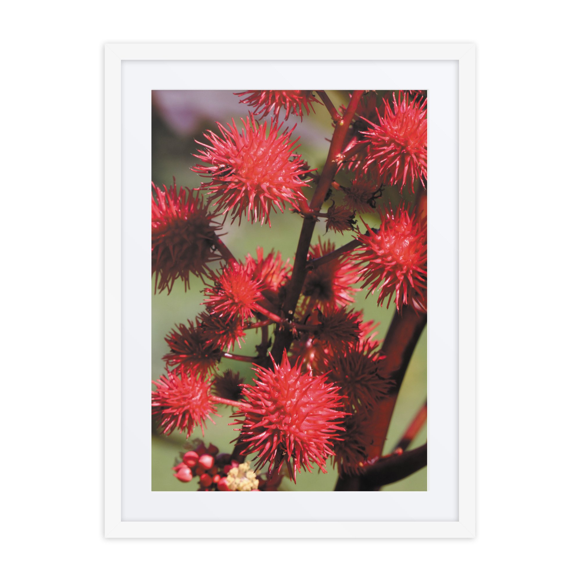 matte-paper-framed-poster-with-mat-(in)-white-18x24-front-67f9a87325eb1.jpg
