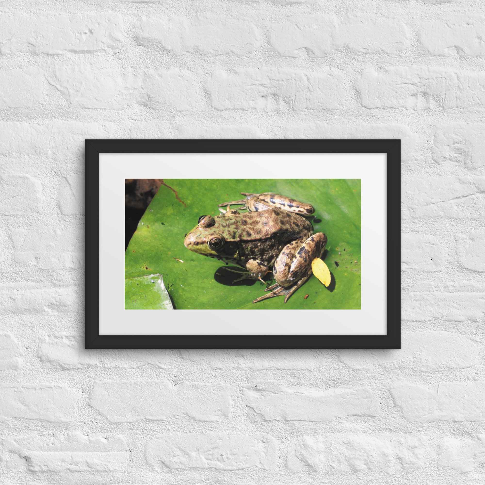 matte-paper-framed-poster-with-mat-(in)-black-12x18-front-67fae37643a9c.jpg