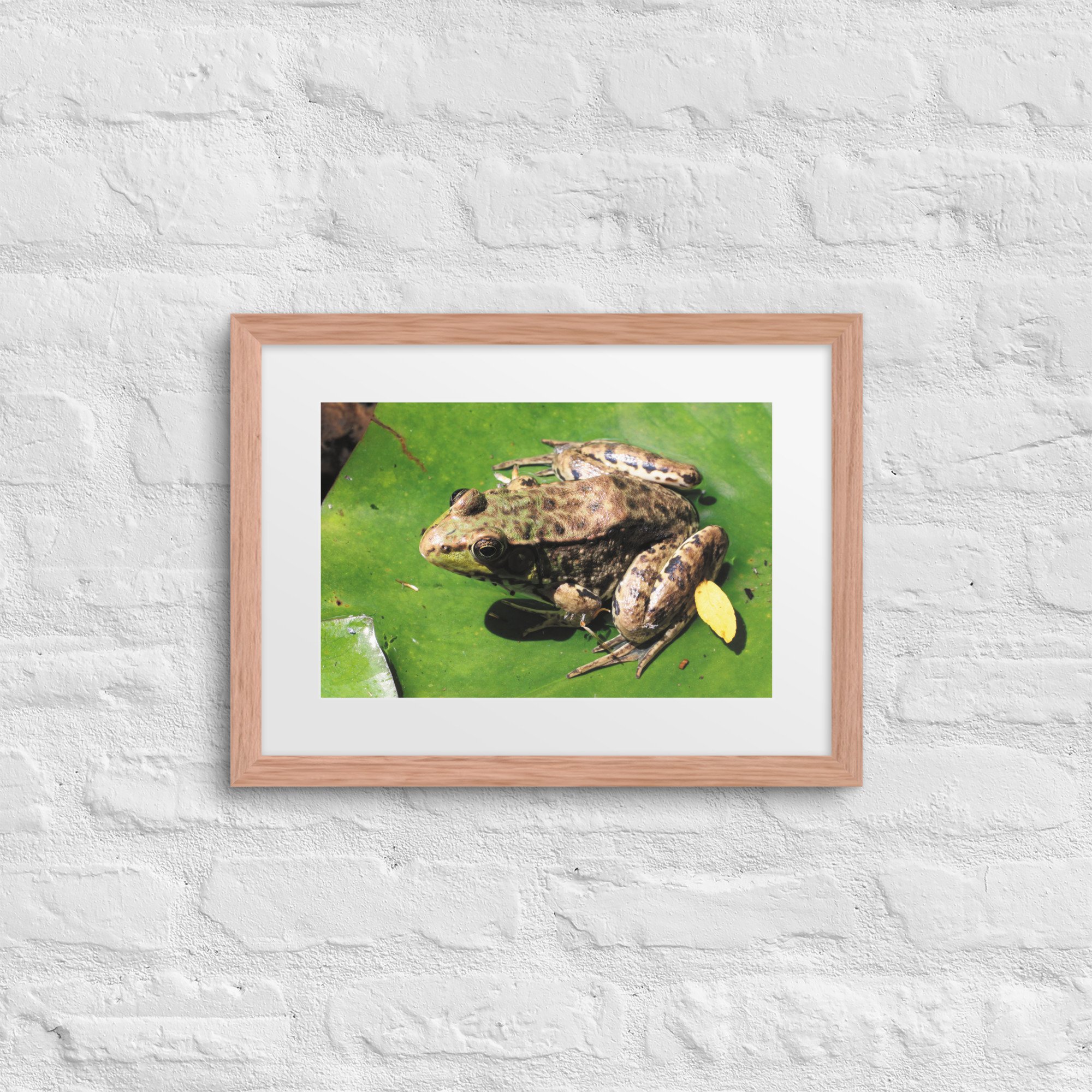 matte-paper-framed-poster-with-mat-(in)-red-oak-12x16-front-67fae37643b2c.jpg