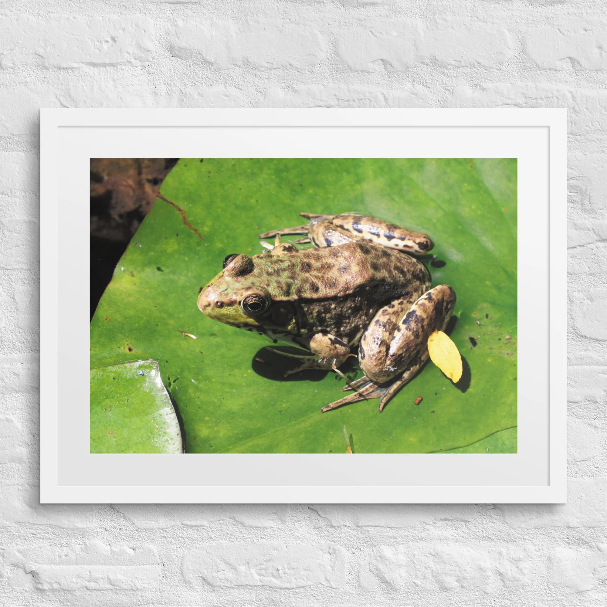 matte-paper-framed-poster-with-mat-(in)-white-18x24-front-67fae37643cf9.jpg
