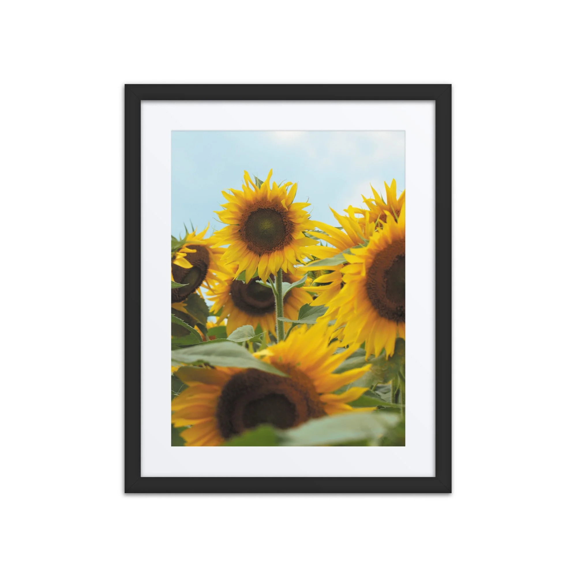 matte-paper-framed-poster-with-mat-(in)-black-16x20-front-67fae394efff6.jpg