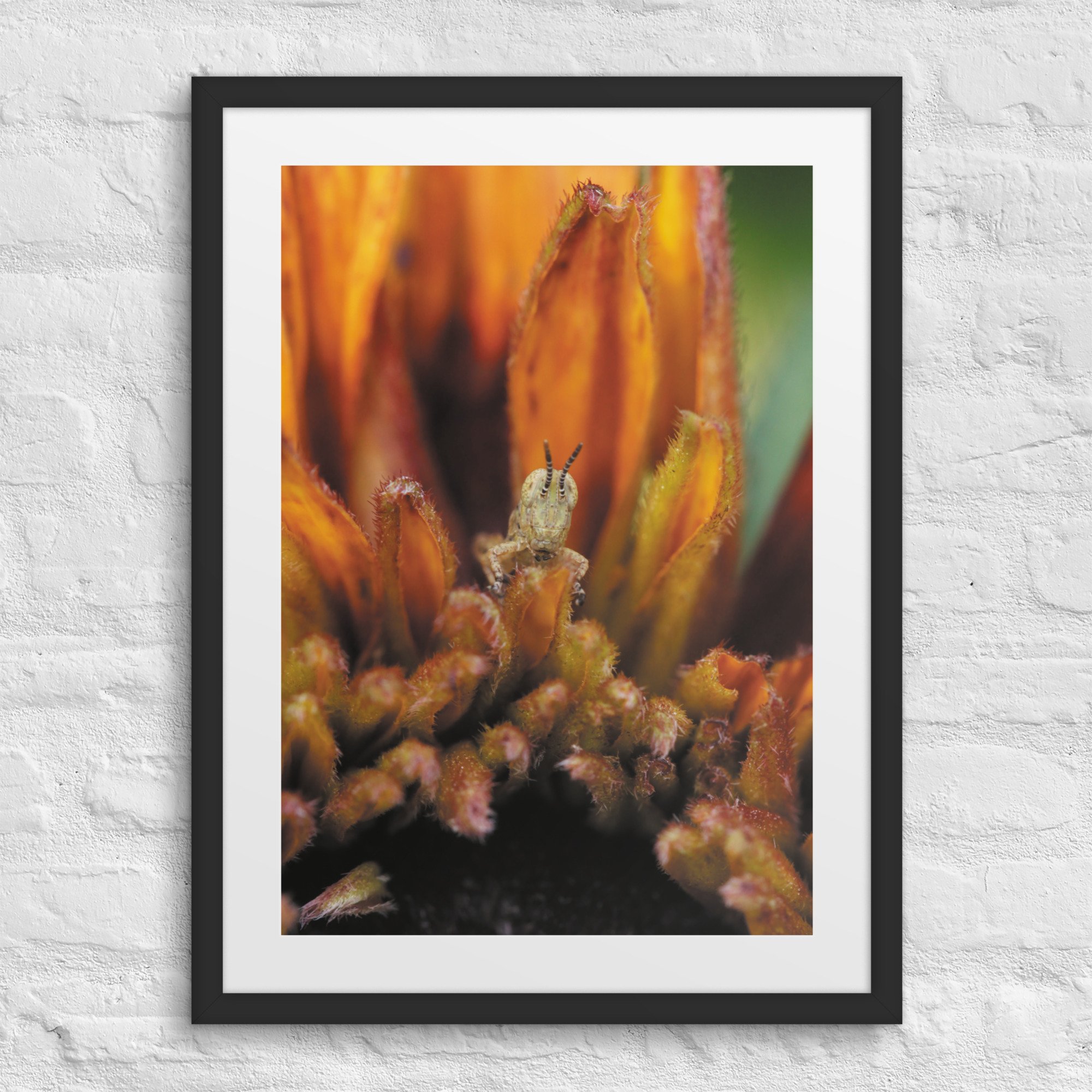 matte-paper-framed-poster-with-mat-(in)-black-18x24-front-67fae3b3c32b8.jpg