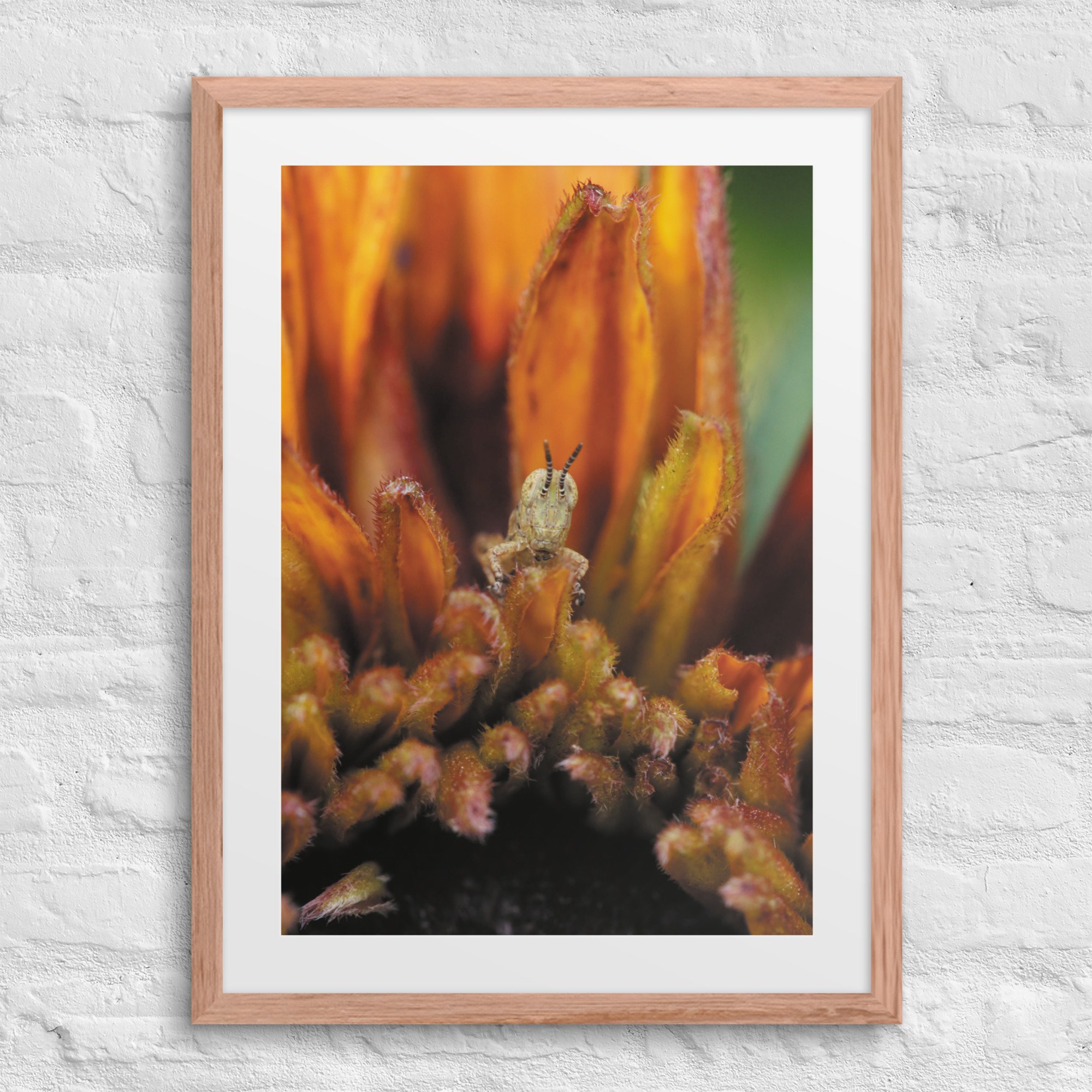 matte-paper-framed-poster-with-mat-(in)-red-oak-18x24-front-67fae3b3c40e6.jpg