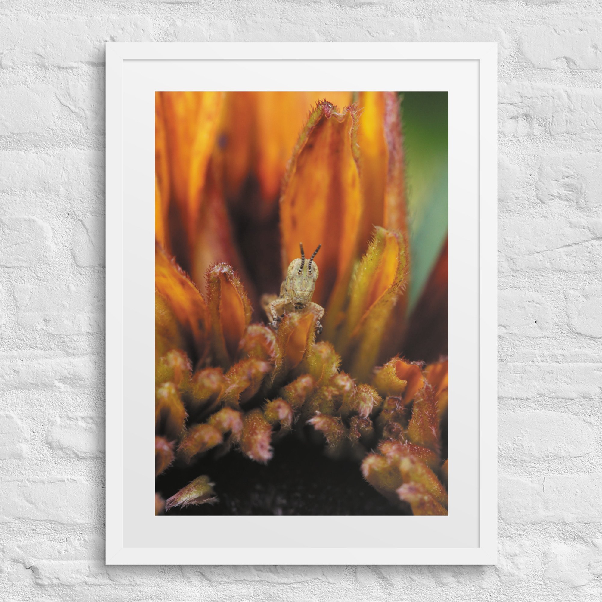 matte-paper-framed-poster-with-mat-(in)-white-18x24-front-67fae3b3c42ab.jpg