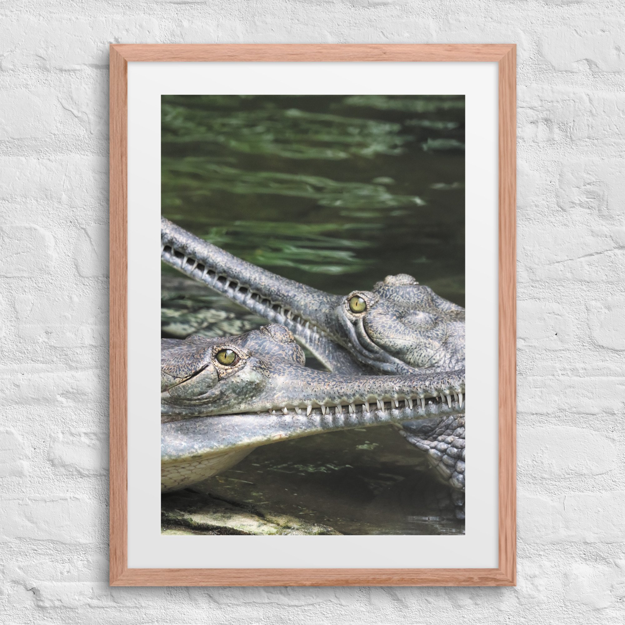 matte-paper-framed-poster-with-mat-(in)-red-oak-18x24-front-67fb04b1af3eb.jpg