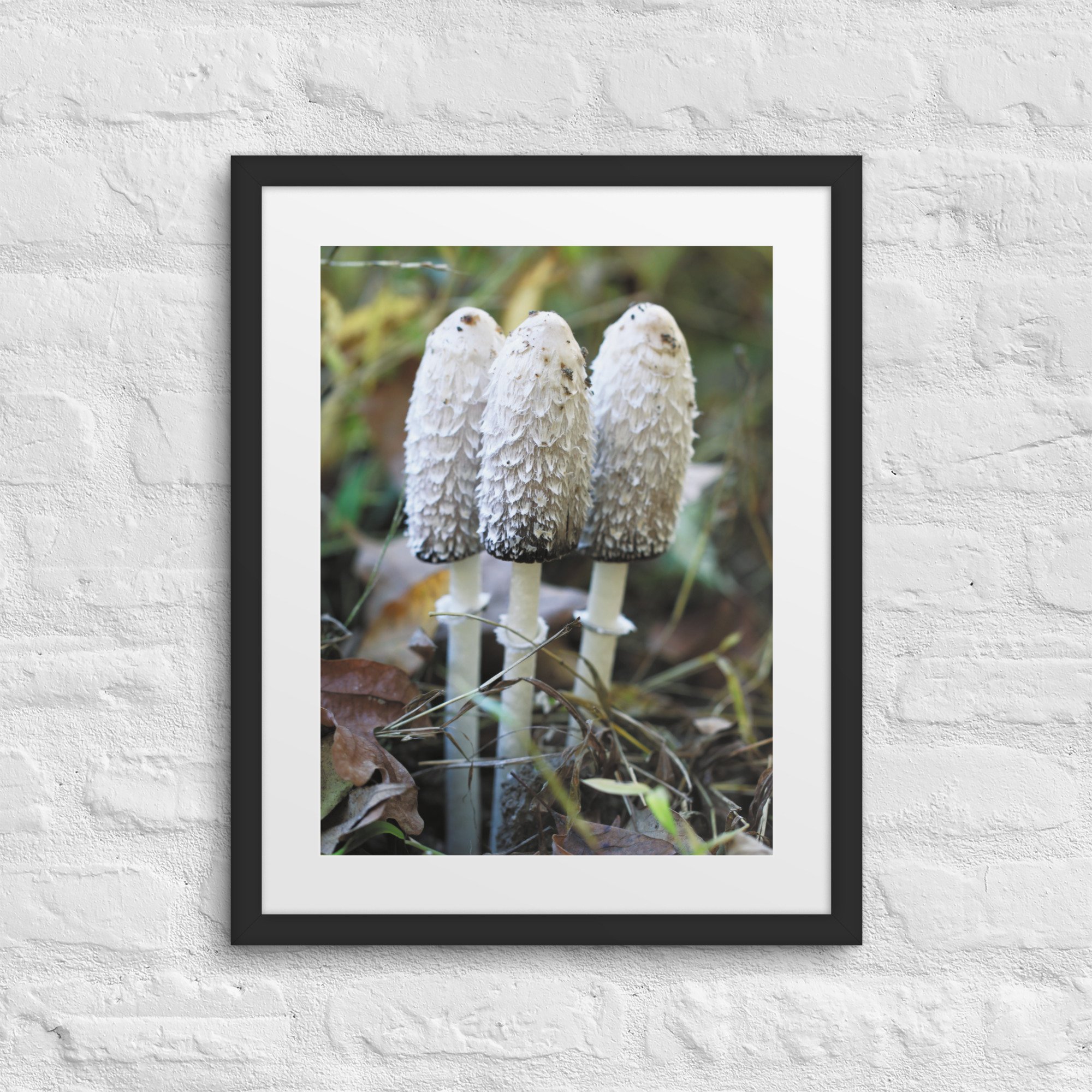 matte-paper-framed-poster-with-mat-(in)-black-16x20-front-67fb04f01fcdc.jpg