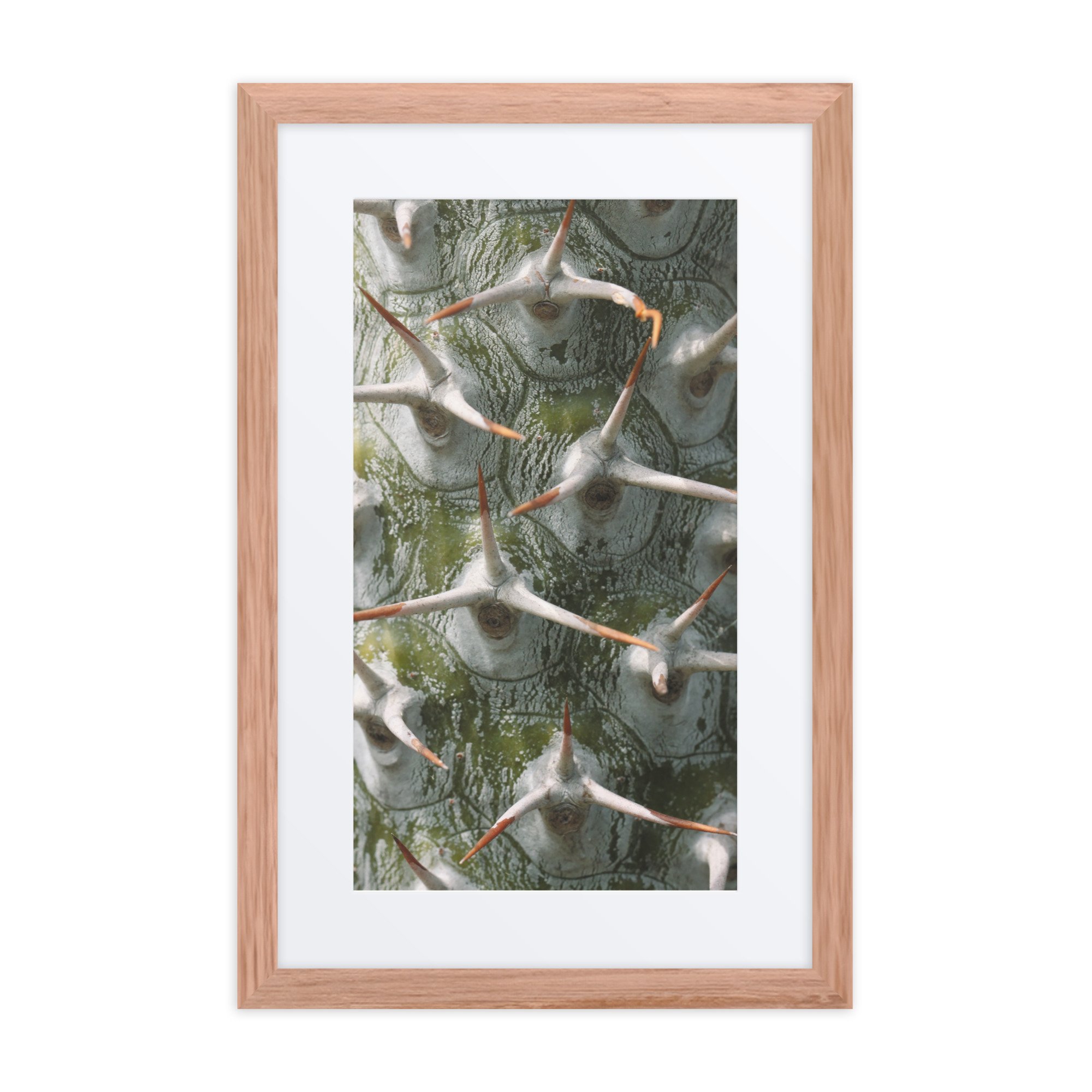 matte-paper-framed-poster-with-mat-(in)-red-oak-12x18-front-67fb05189652d.jpg