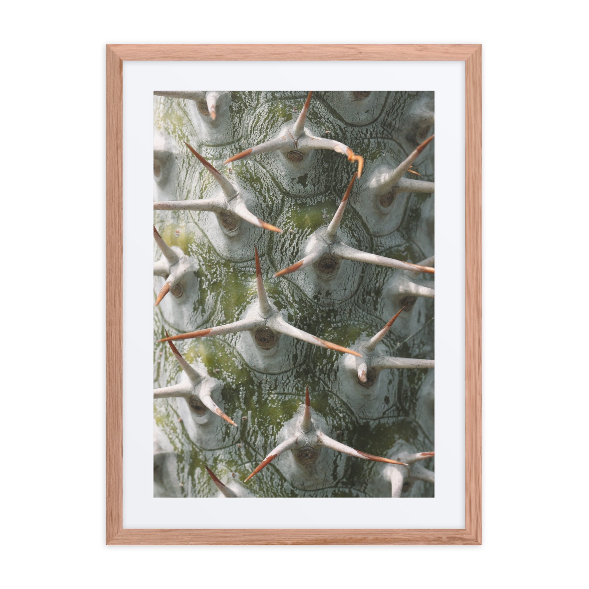 matte-paper-framed-poster-with-mat-(in)-red-oak-18x24-front-67fb0518965ba.jpg