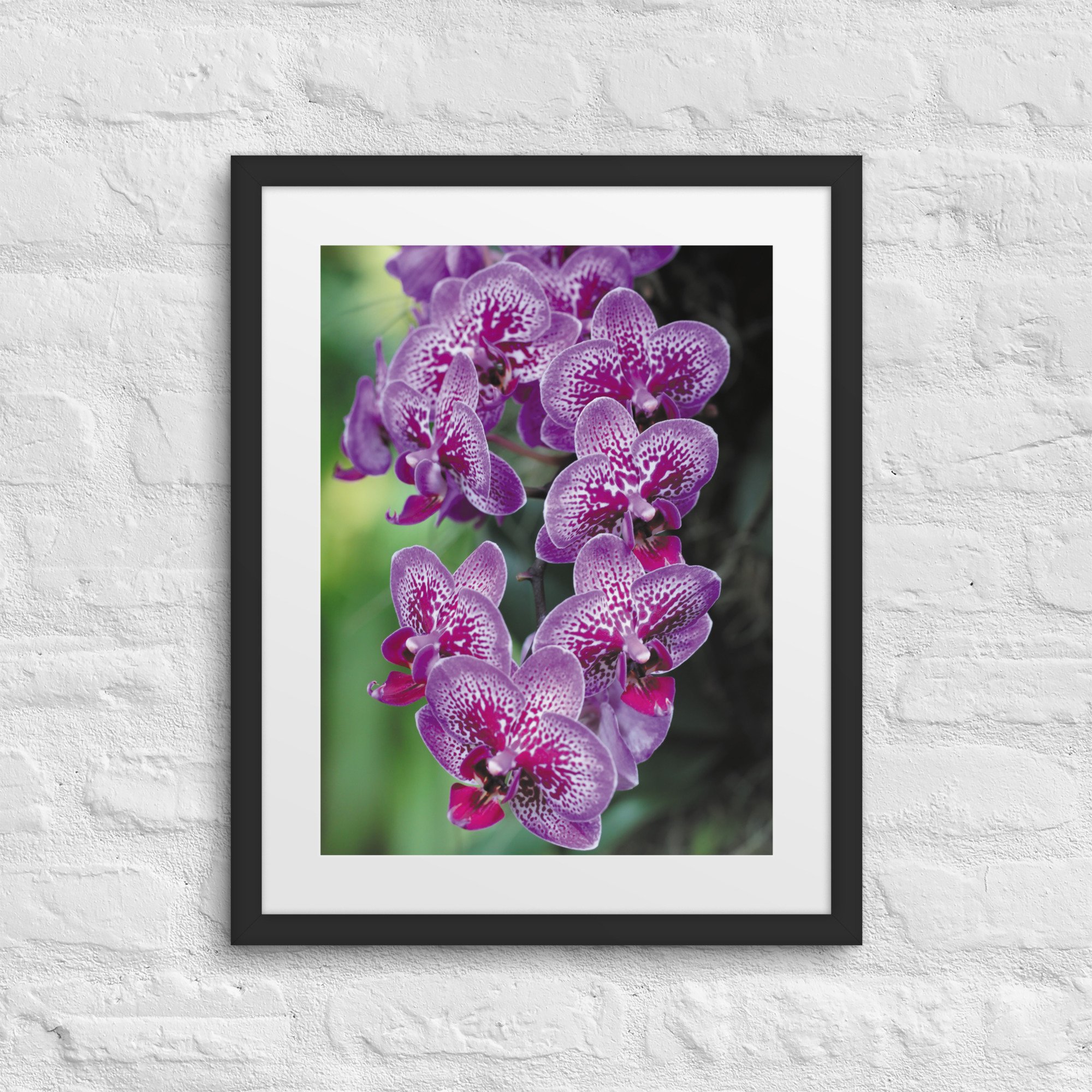 matte-paper-framed-poster-with-mat-(in)-black-16x20-front-67fb0d4b552ef.jpg