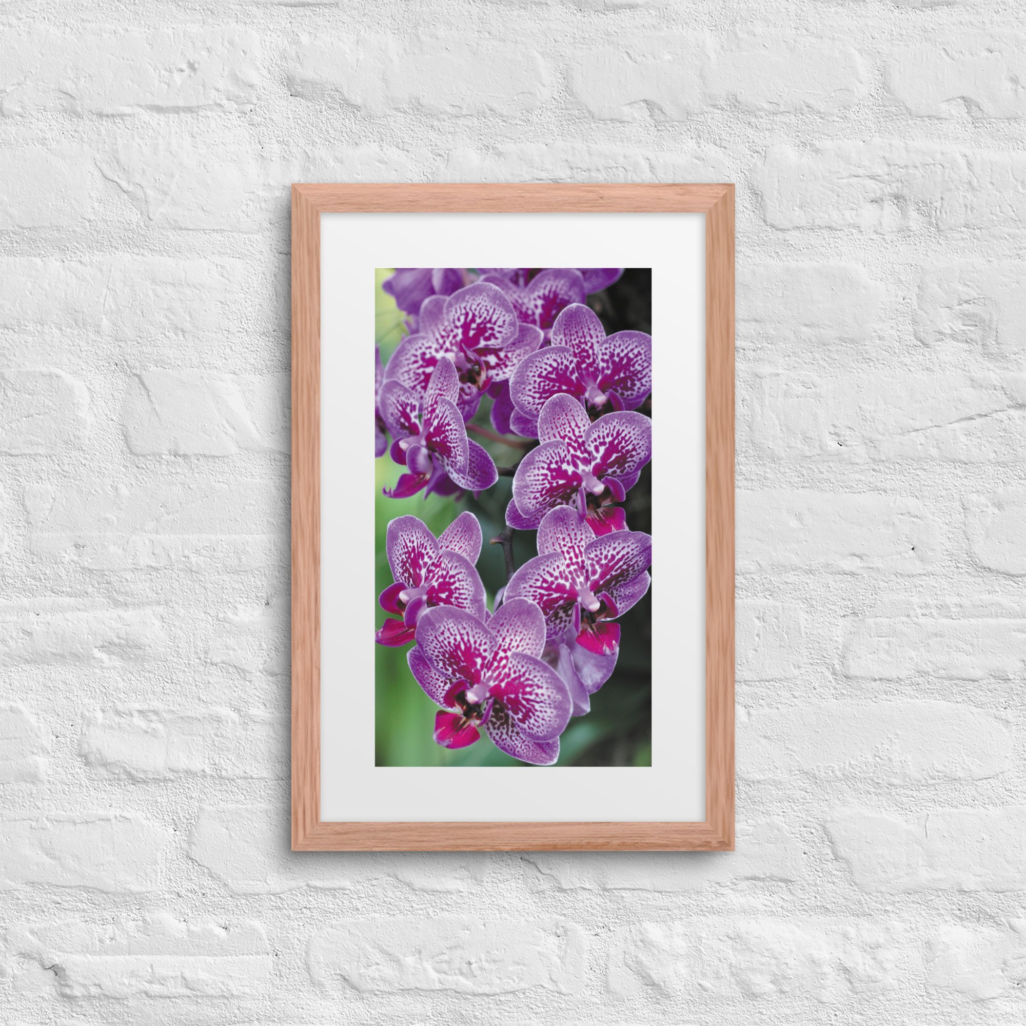matte-paper-framed-poster-with-mat-(in)-red-oak-12x18-front-67fb0d4b553d0.jpg