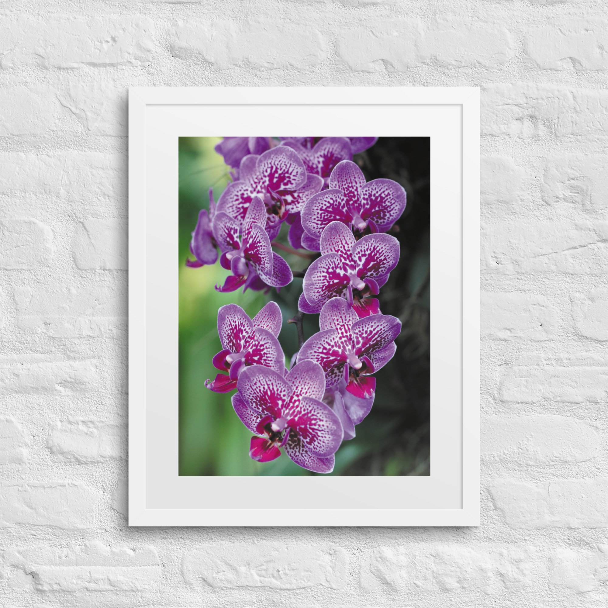 matte-paper-framed-poster-with-mat-(in)-white-16x20-front-67fb0d4b555ff.jpg