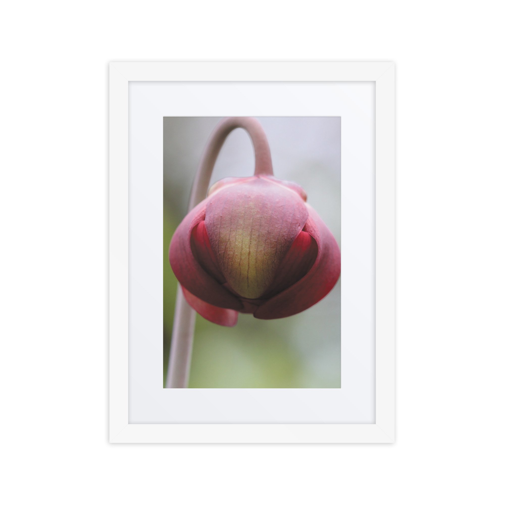matte-paper-framed-poster-with-mat-(in)-white-12x16-front-67fb0d6670e3d.jpg