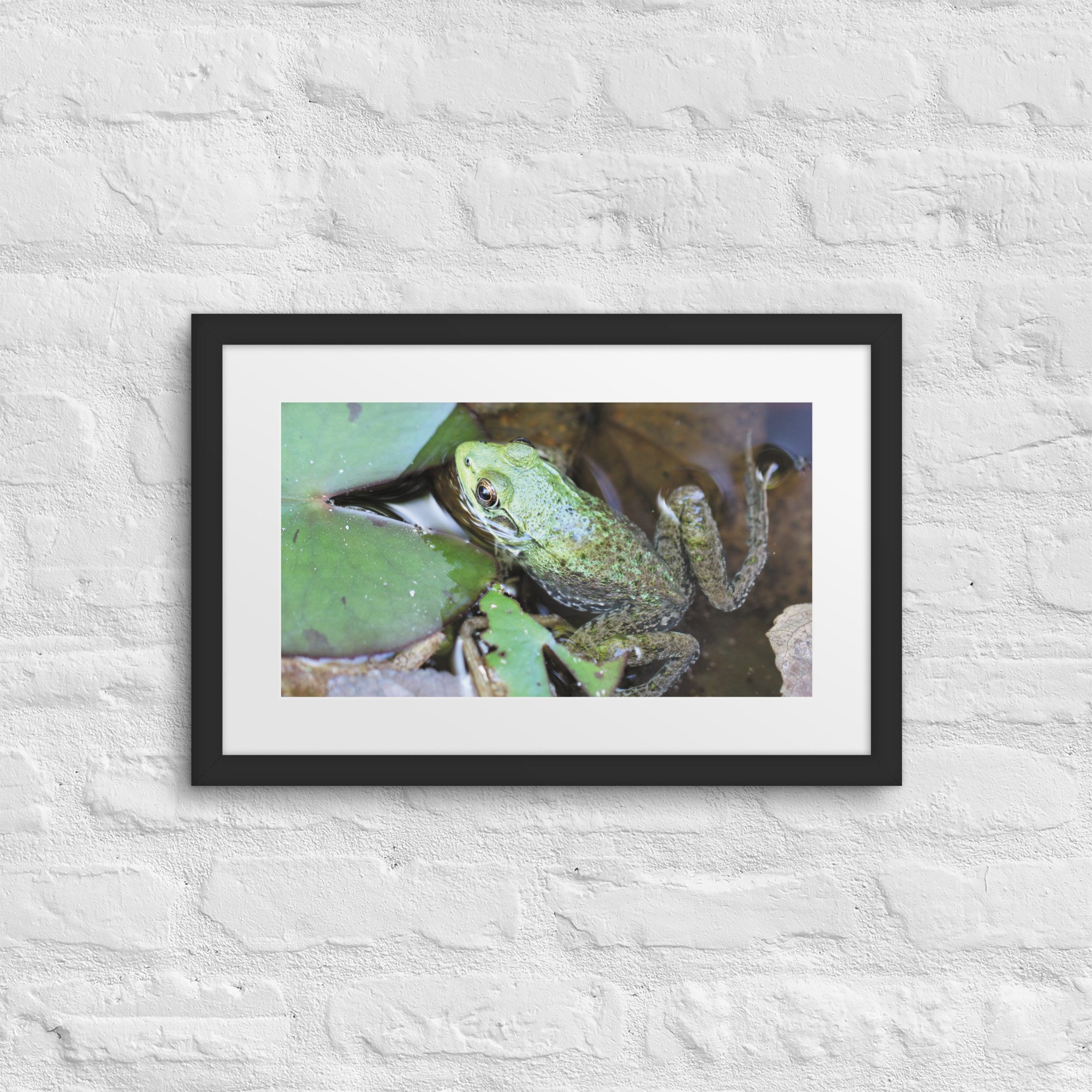 matte-paper-framed-poster-with-mat-(in)-black-12x18-front-67fb0e4fb8baf.jpg