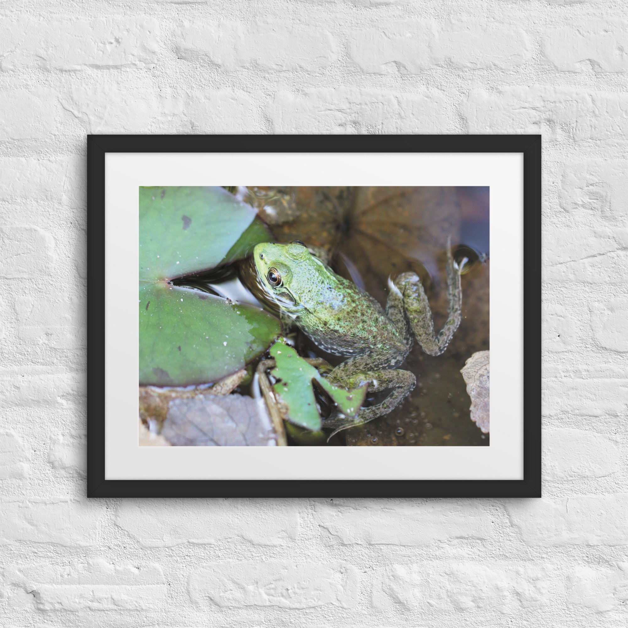 matte-paper-framed-poster-with-mat-(in)-black-16x20-front-67fb0e4fb8c26.jpg