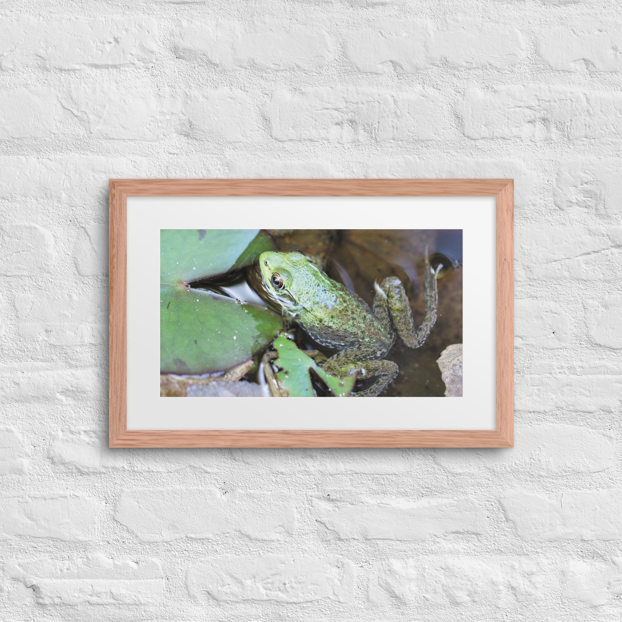 matte-paper-framed-poster-with-mat-(in)-red-oak-12x18-front-67fb0e4fb8d14.jpg