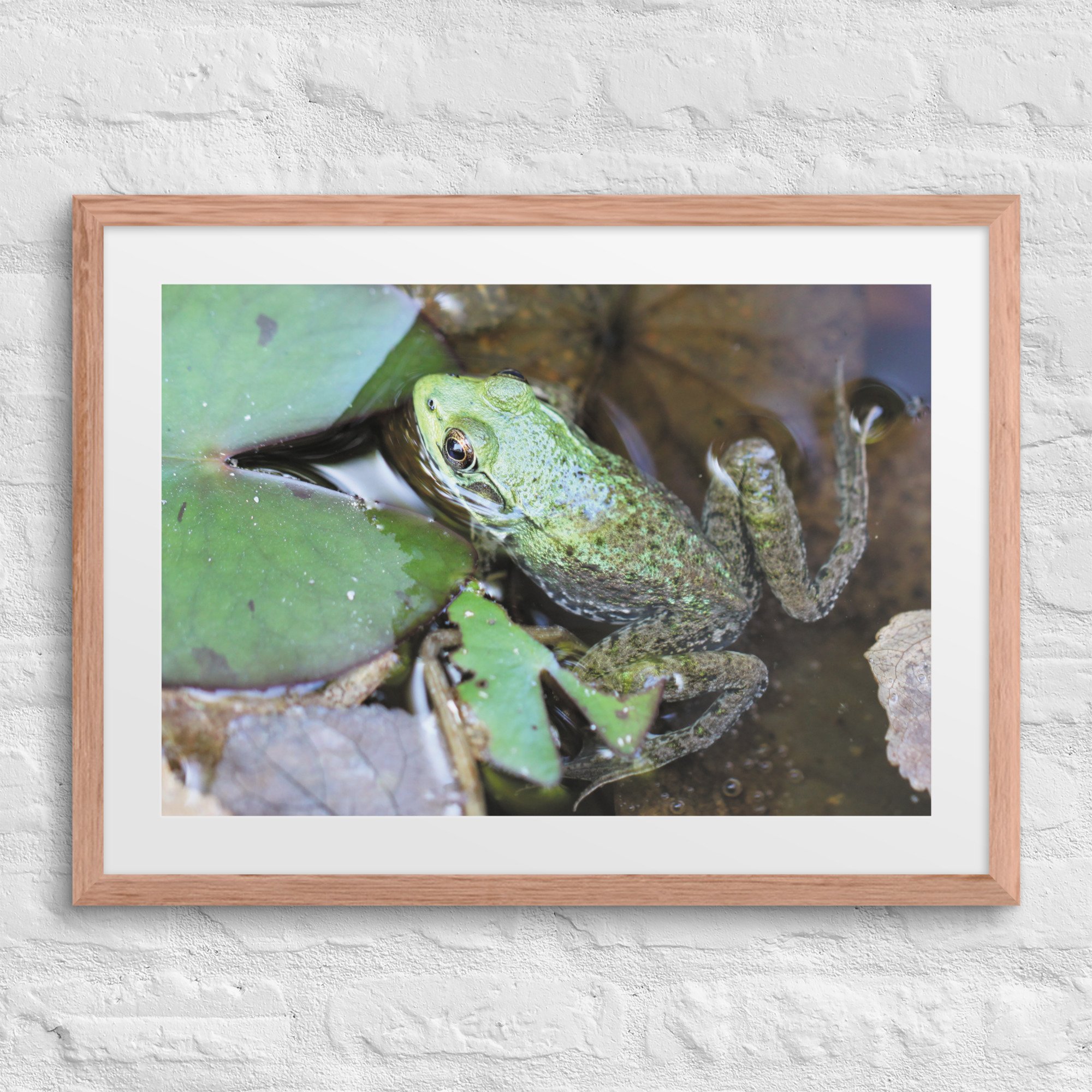 matte-paper-framed-poster-with-mat-(in)-red-oak-18x24-front-67fb0e4fb8df9.jpg